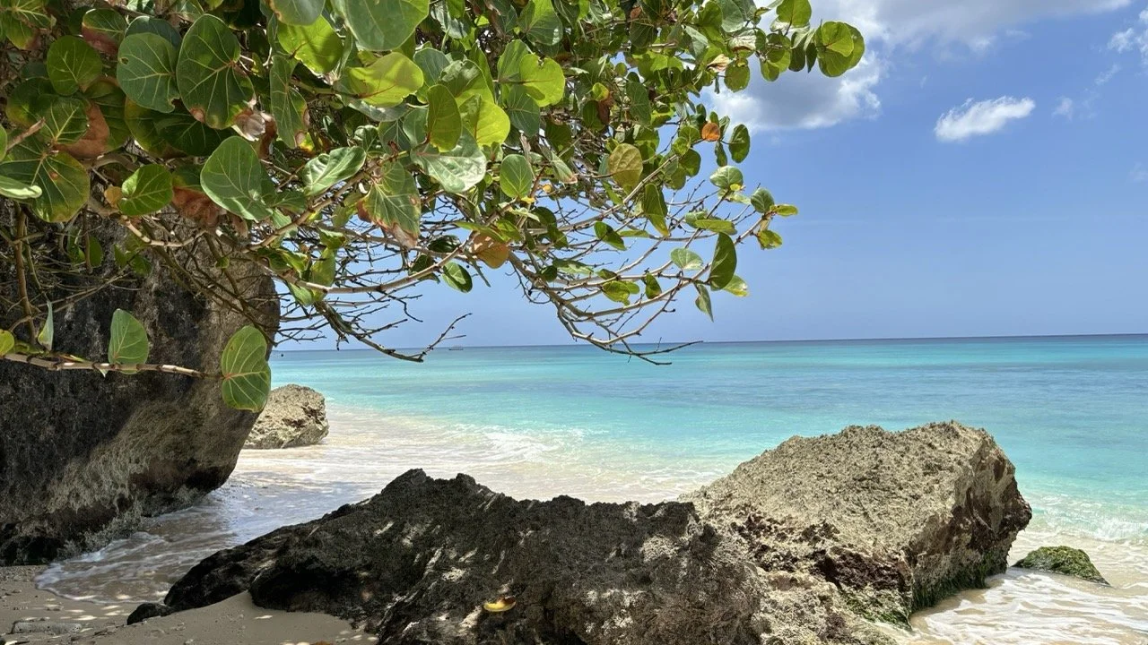 Tropical beach with turquoise water, sandy shore, large rocks, and green leafy tree in the foreground.