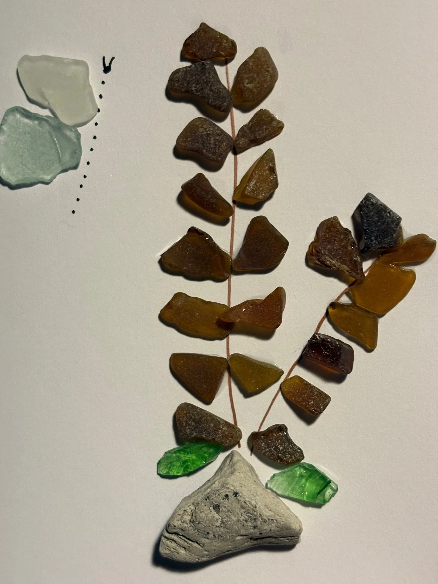 Butterfly and Fern