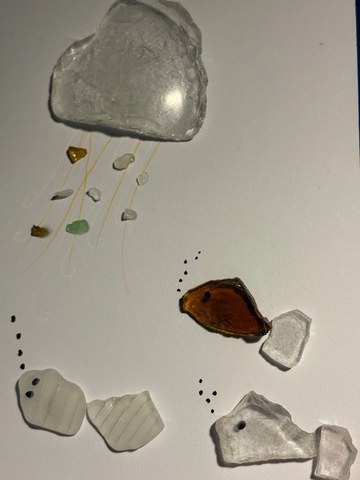 Fish and Jelly (fish)