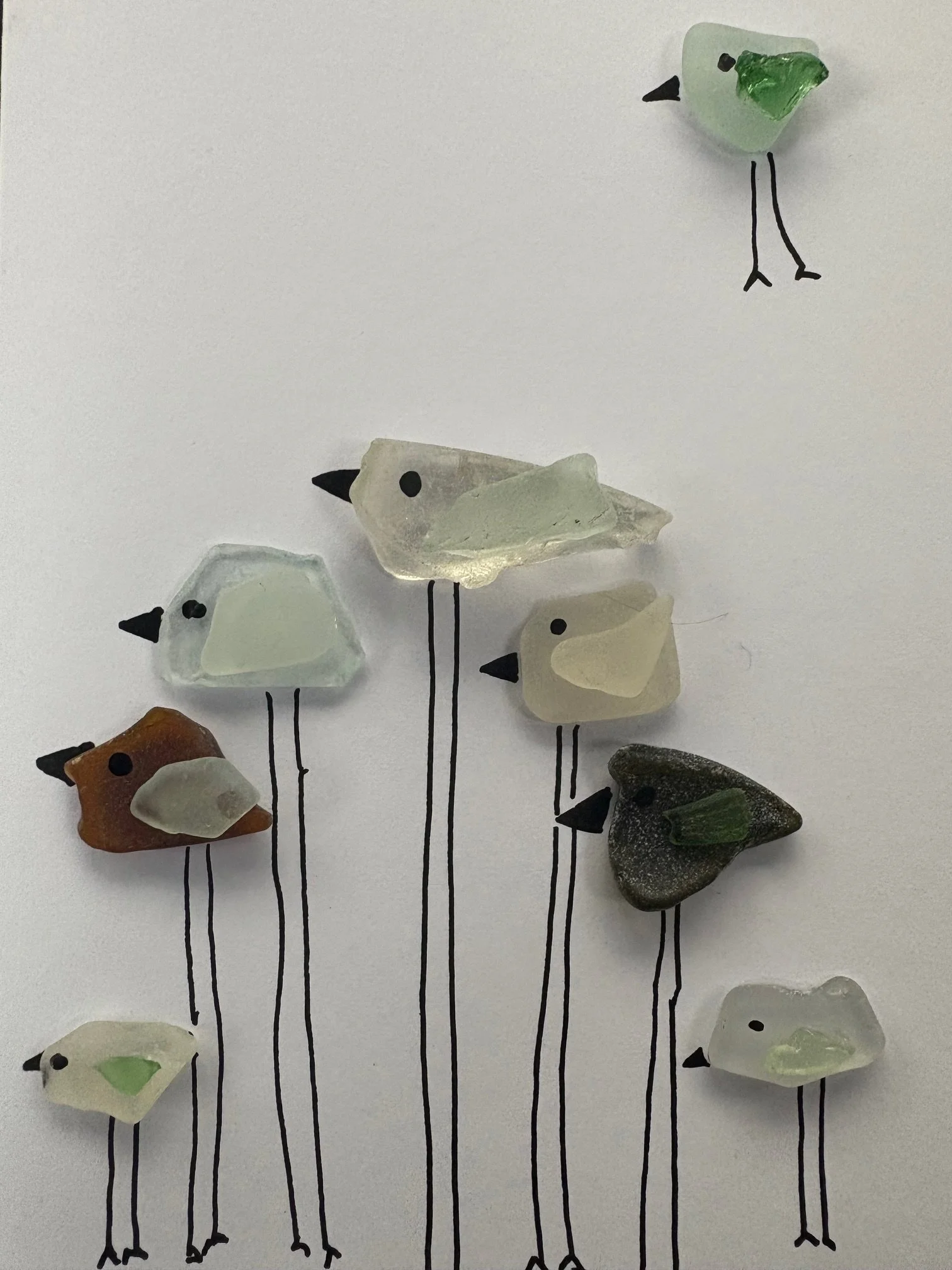Long Leg Birds