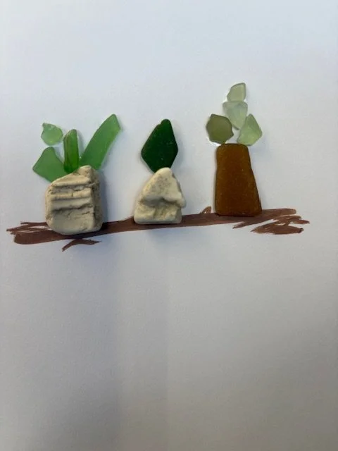 3 small plants