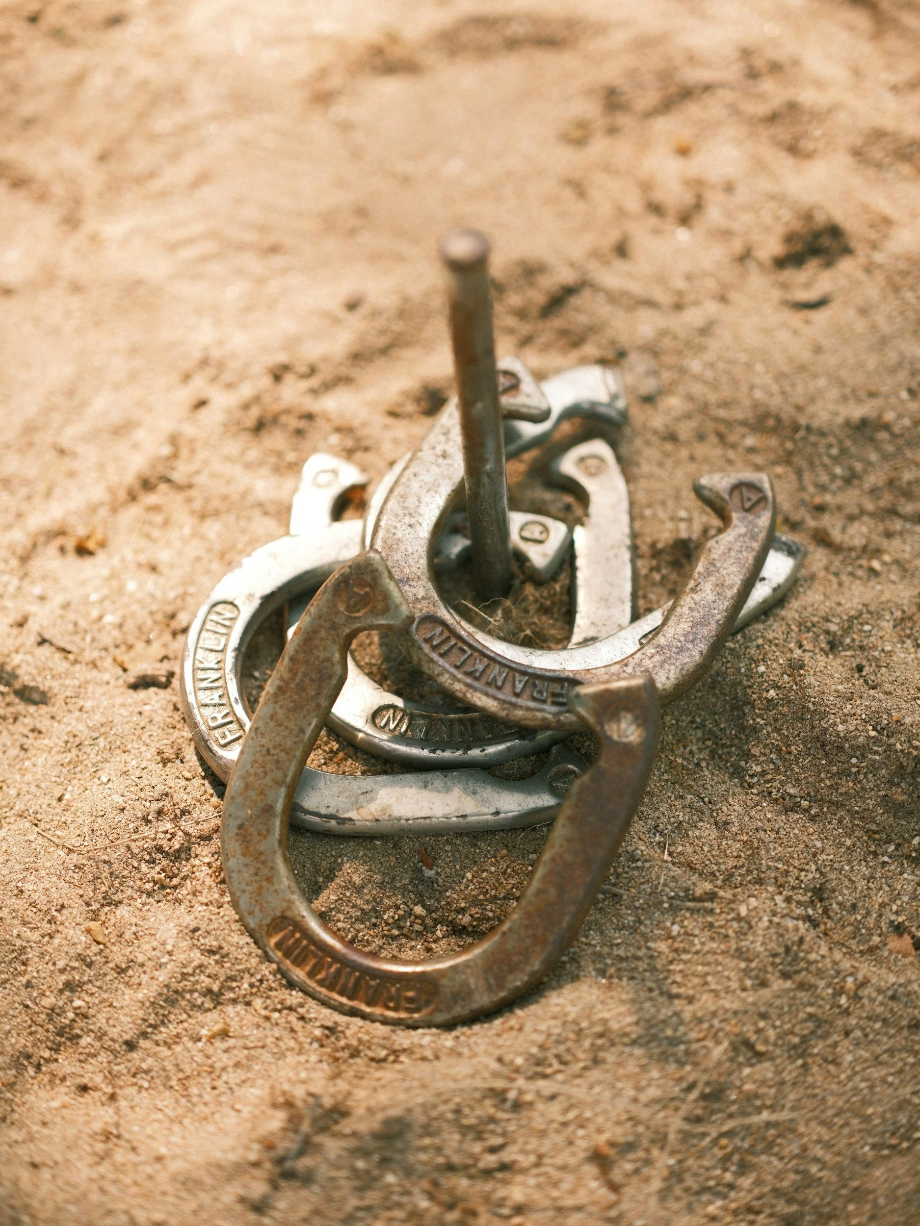 Horseshoe Setup &amp; Signup