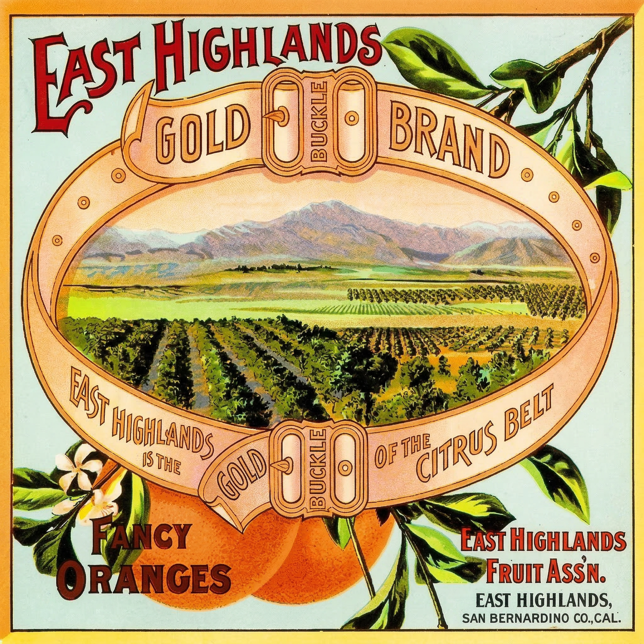 HIGHLAND GOLD BELT.png