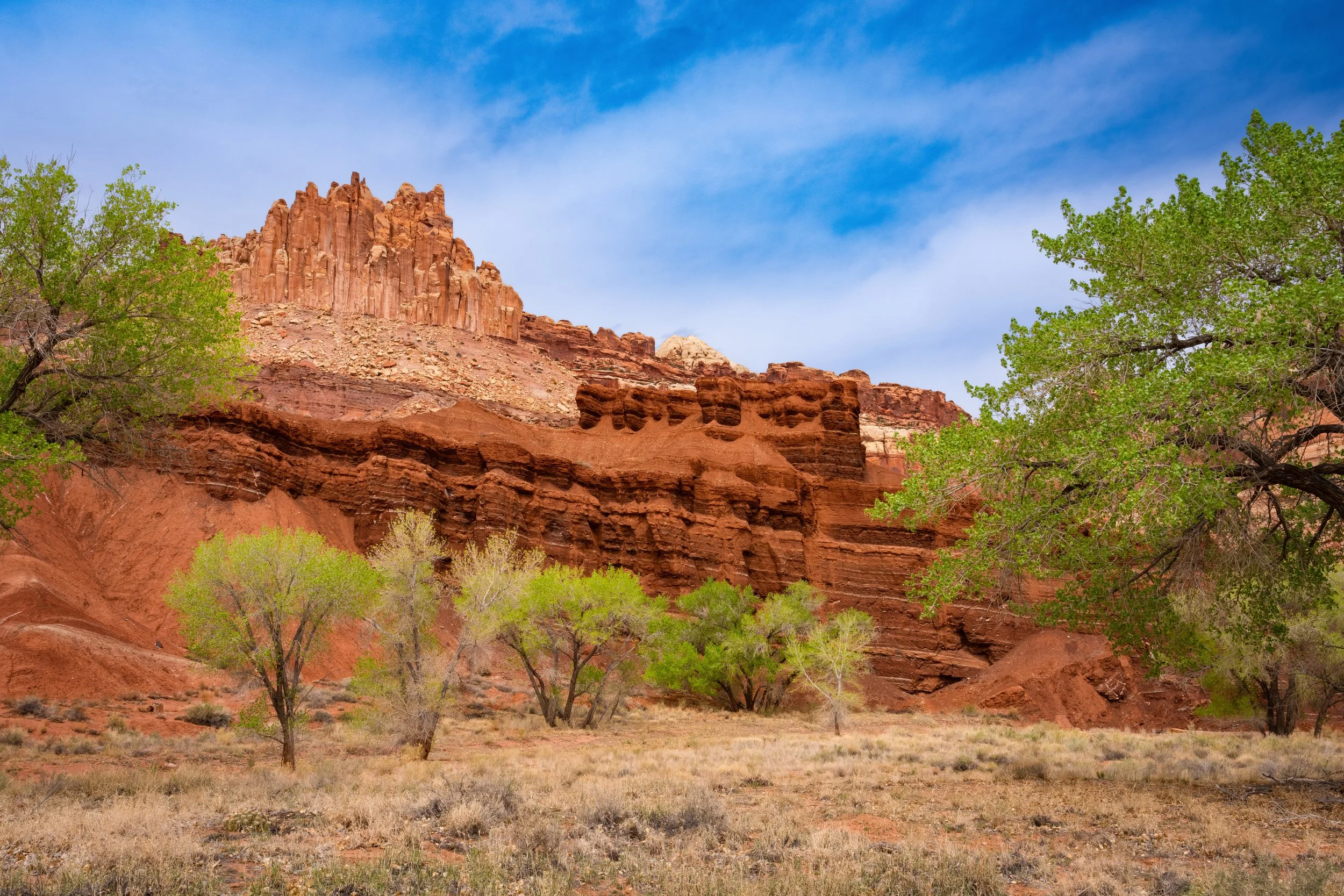 Capitol Reef NP Colors