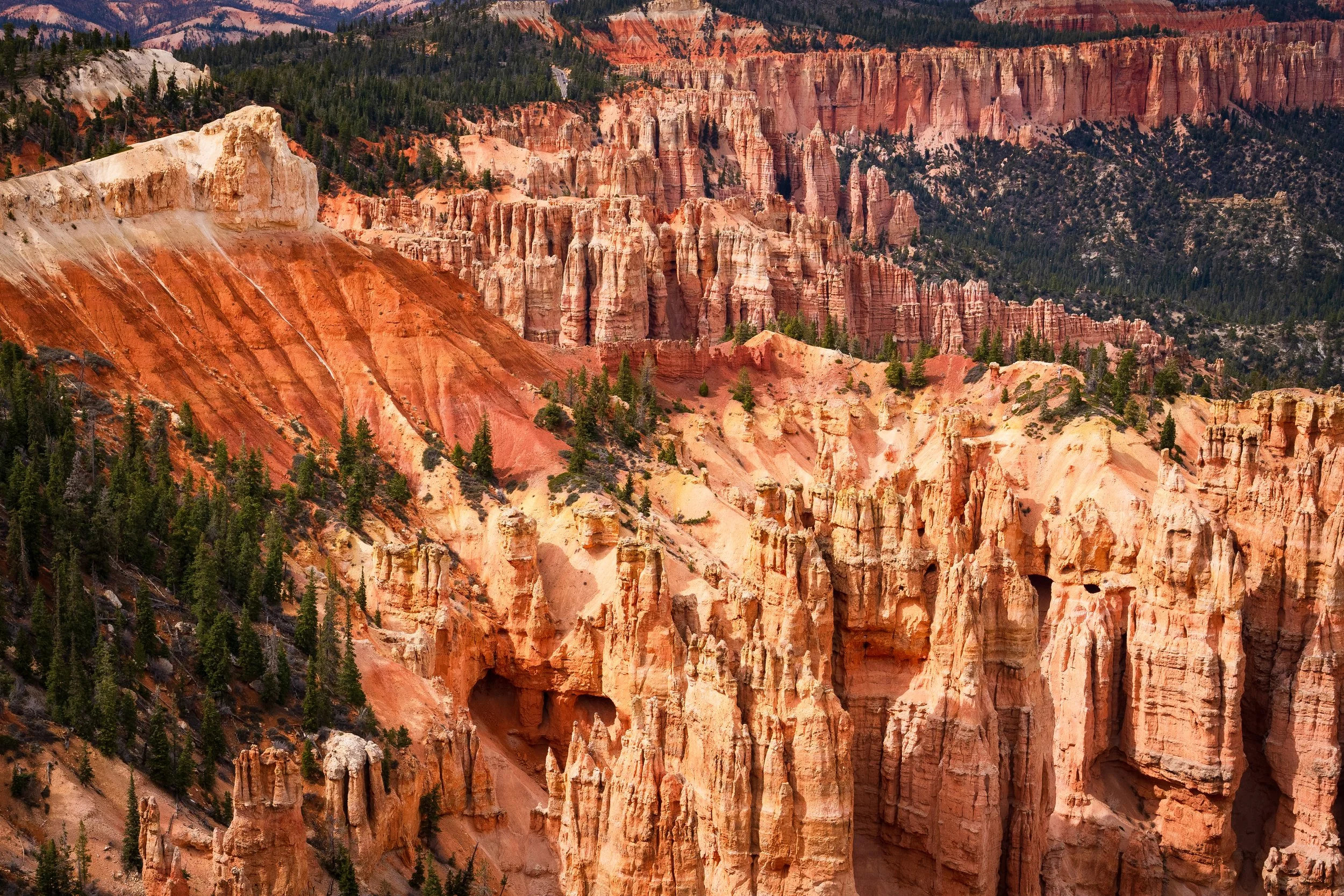 BRYCE6.jpg