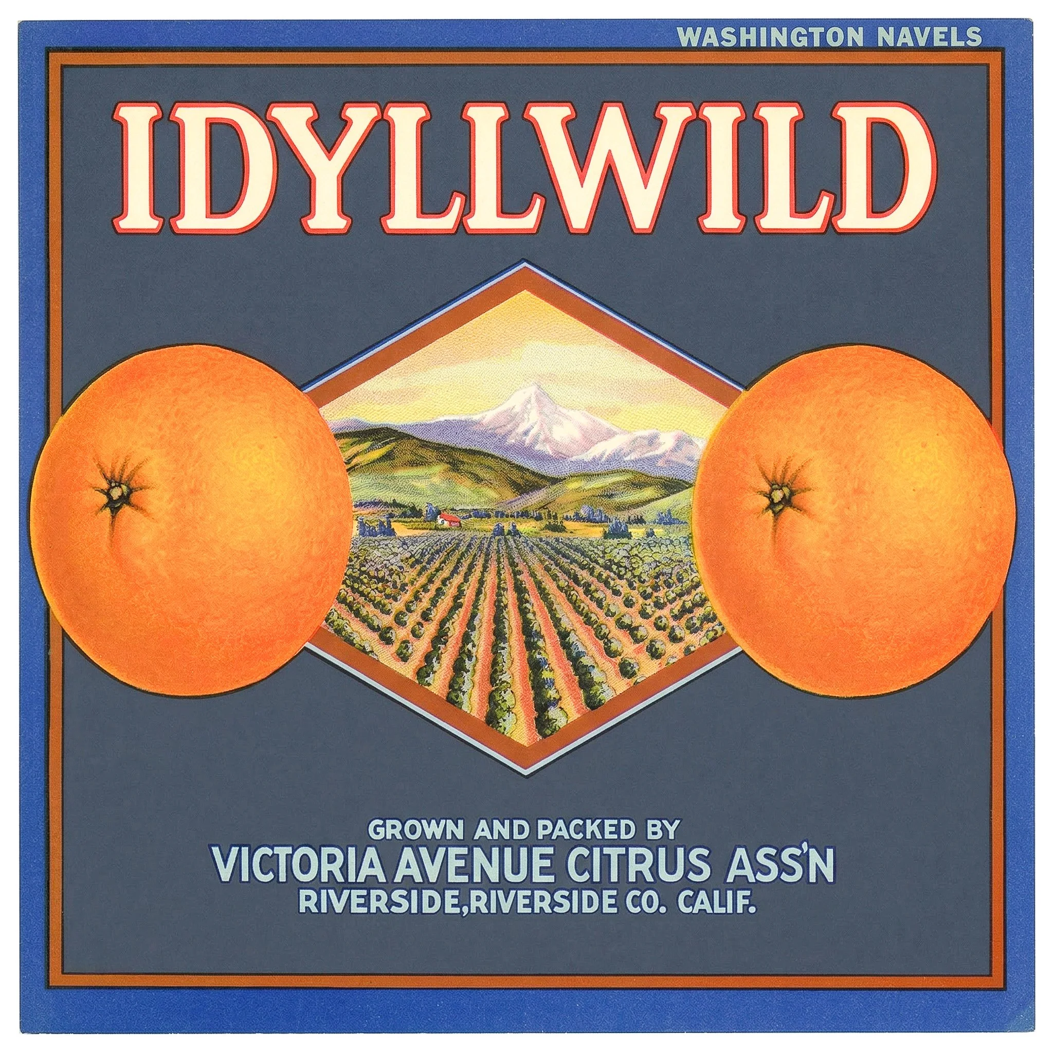 RIVERSIDE IDYLLWILD.jpg