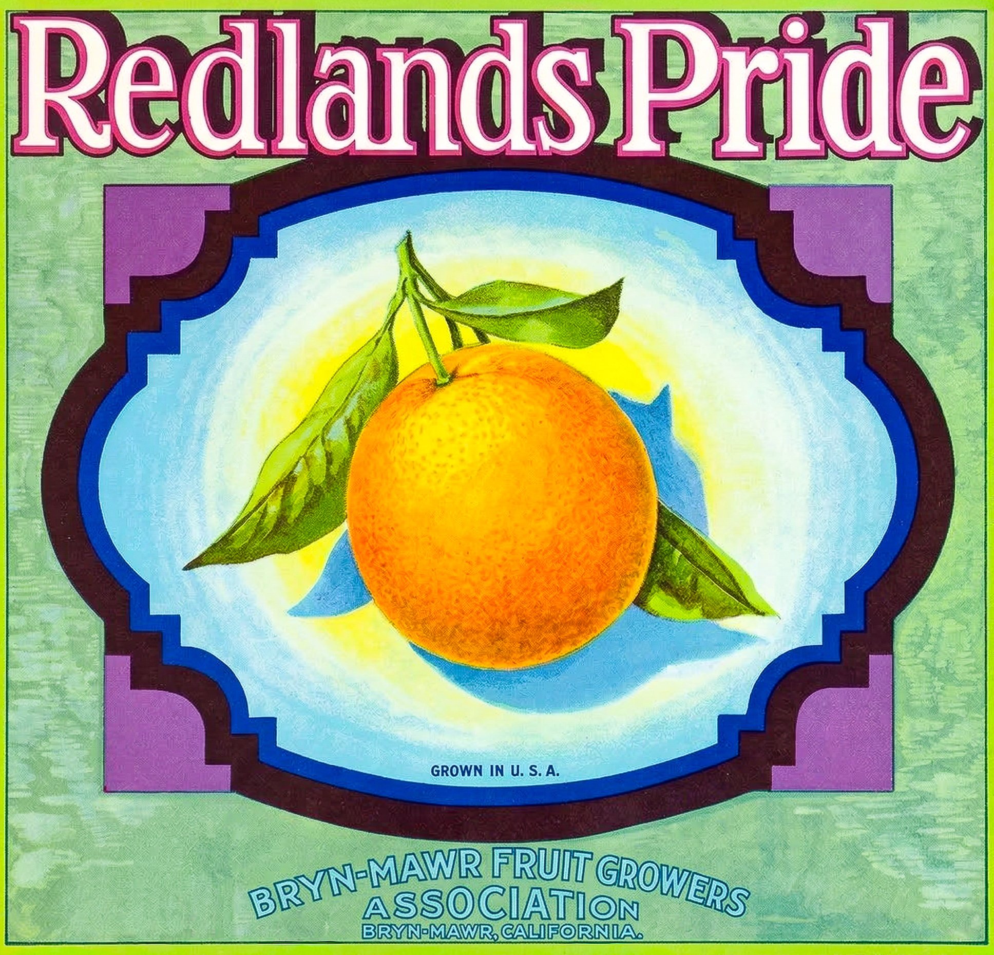 REDLANDS PRIDE-2.jpg