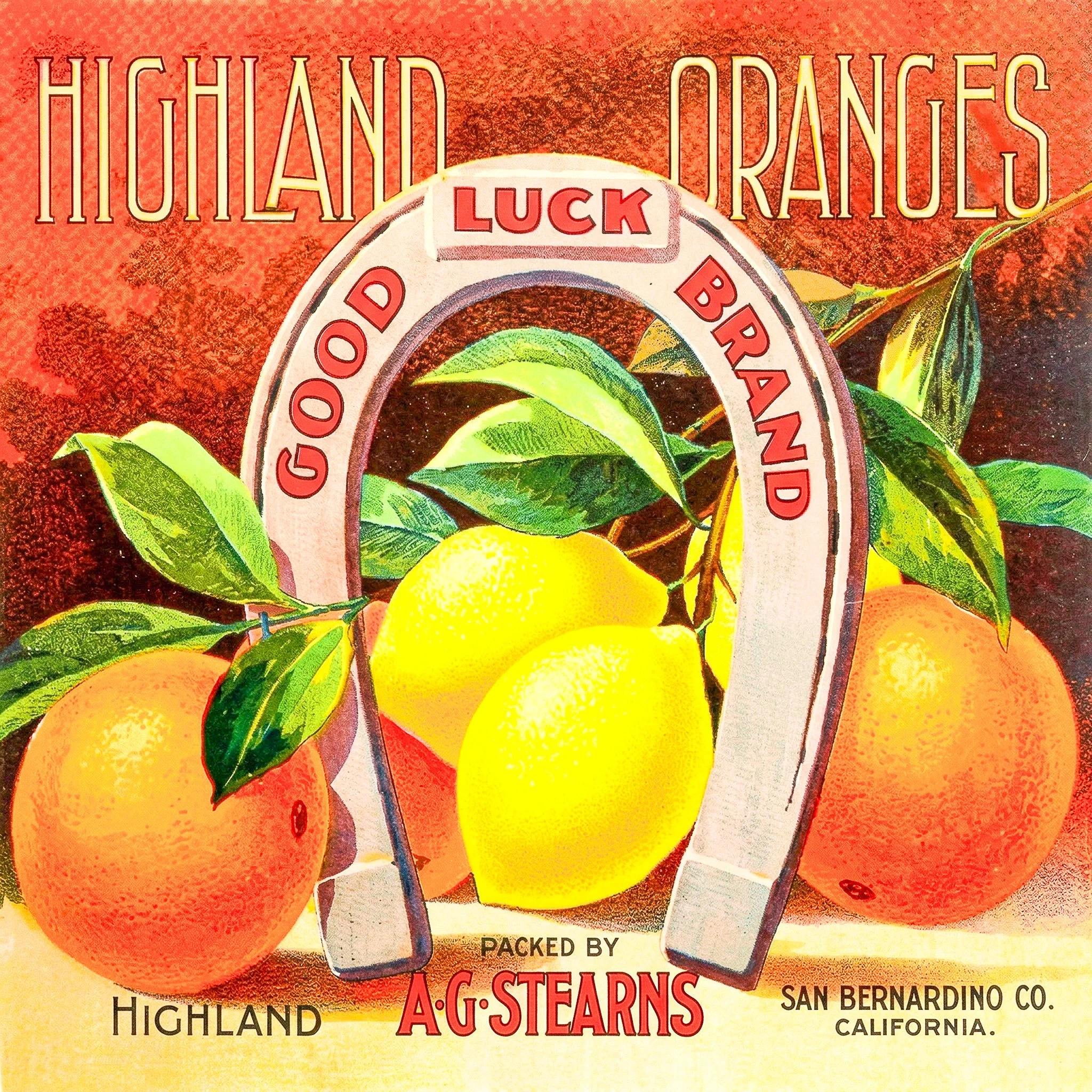 HIGHLAND GOOD LUCK.jpg