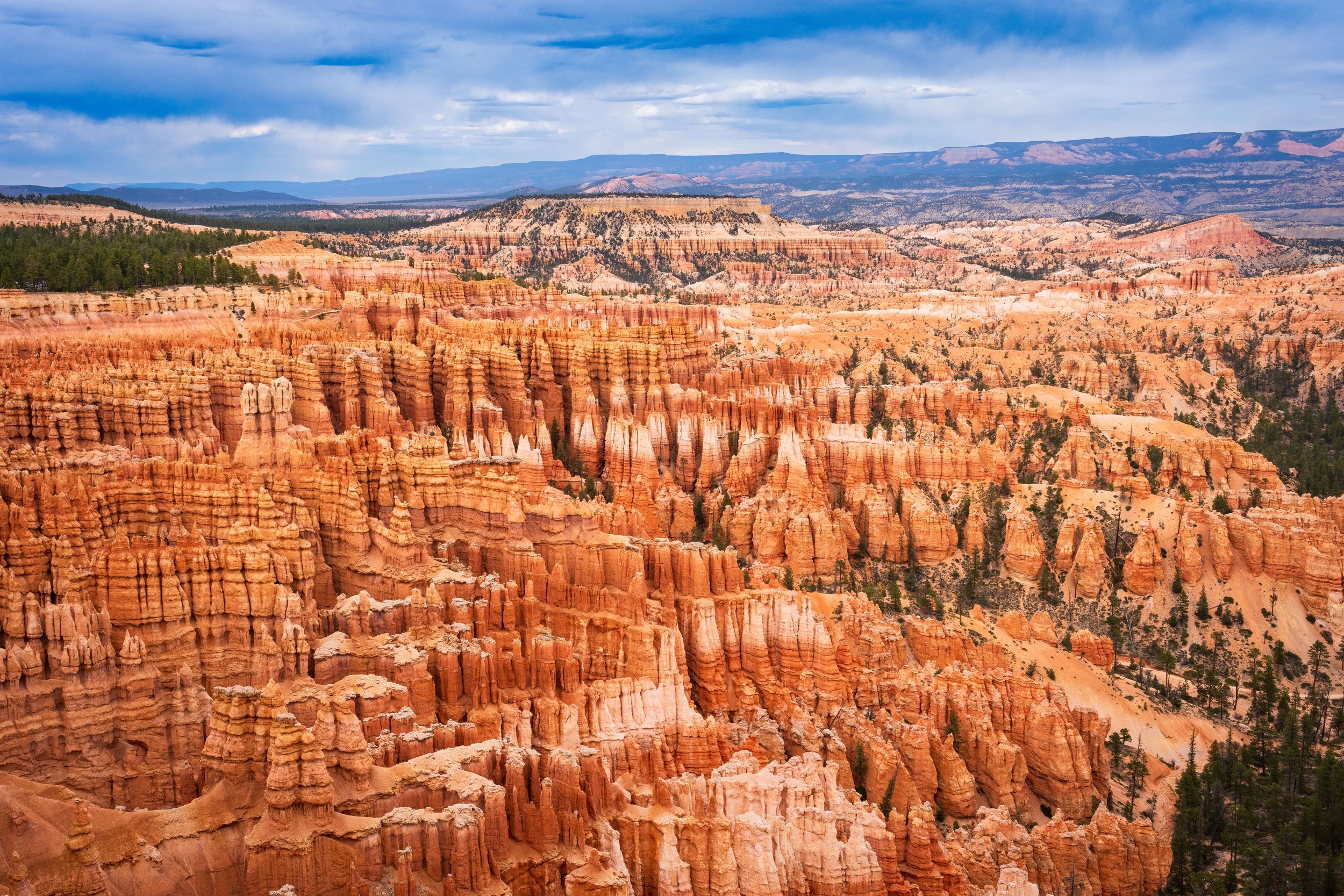BRYCE2.jpg