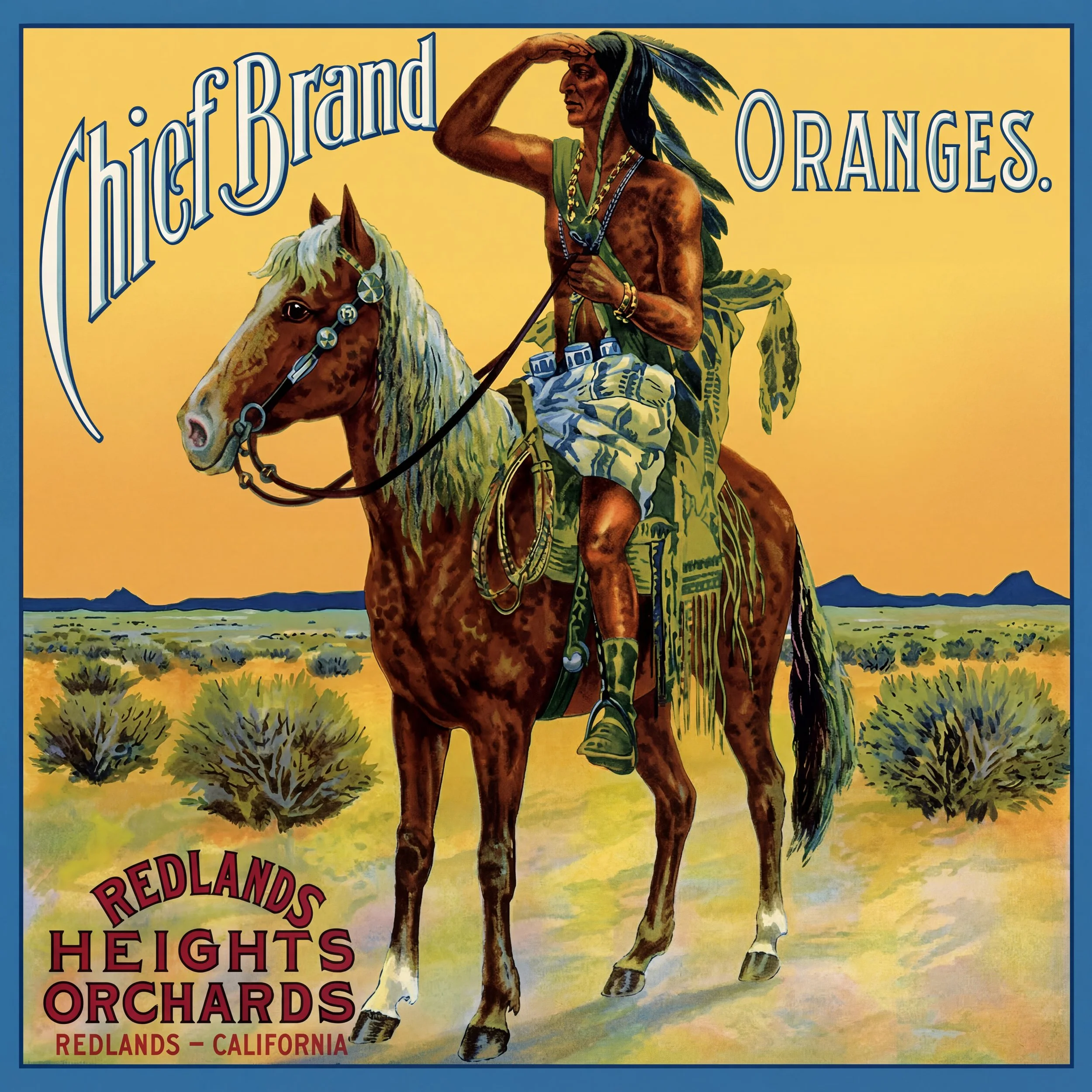 REDLANDS CHIEF.jpg