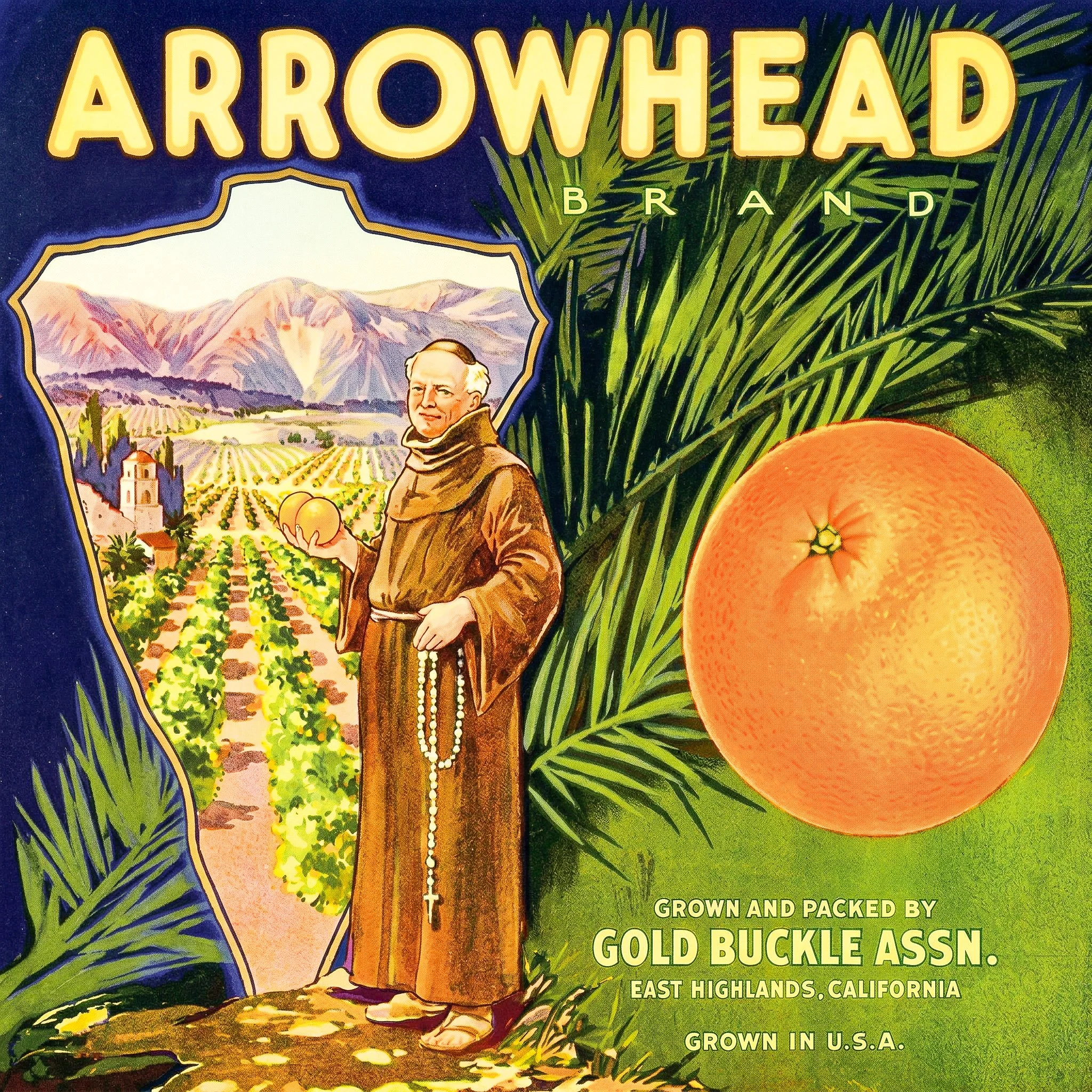 HIGHLAND ARROWHEAD.jpg