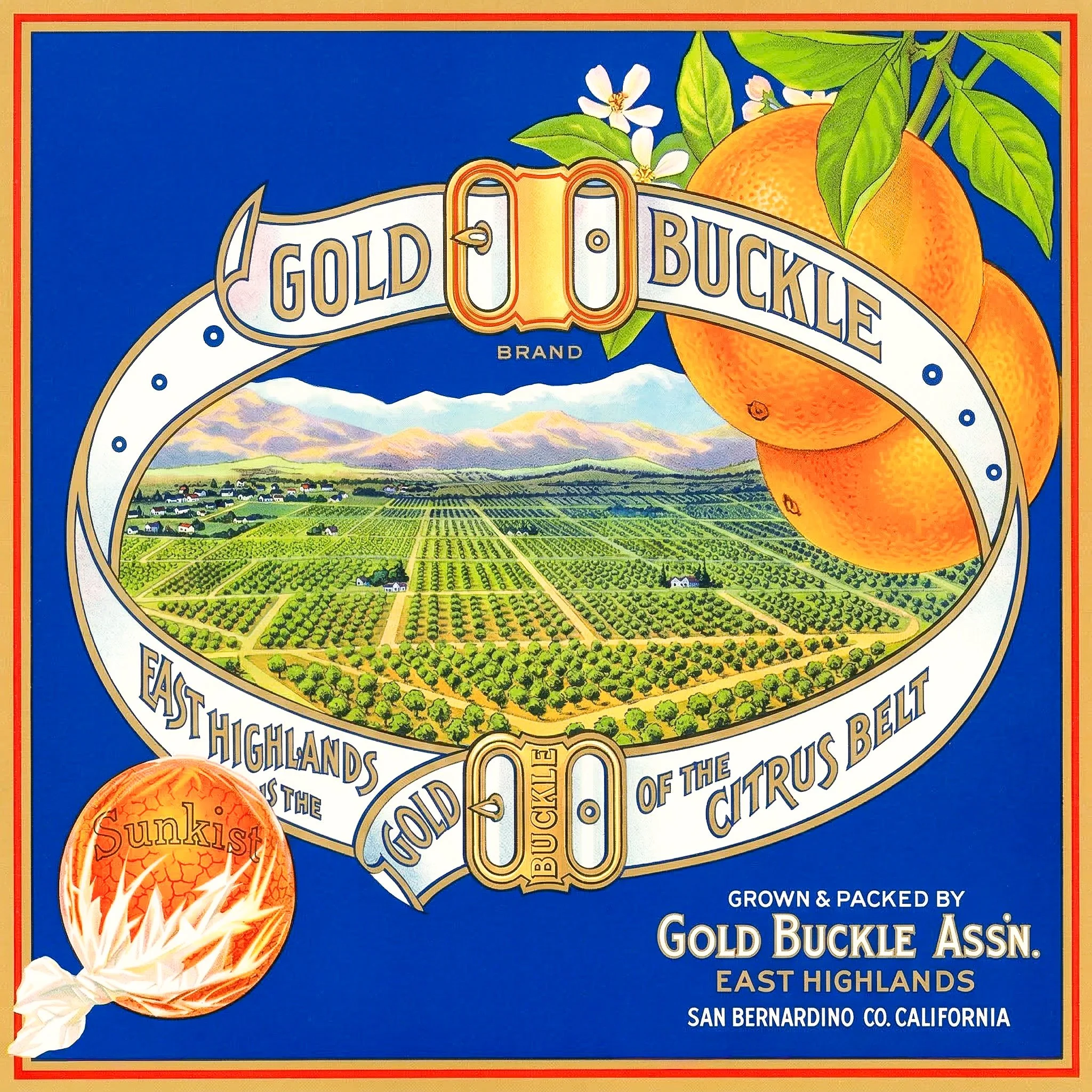 HIGHLAND GOLD BUCKLE.jpg