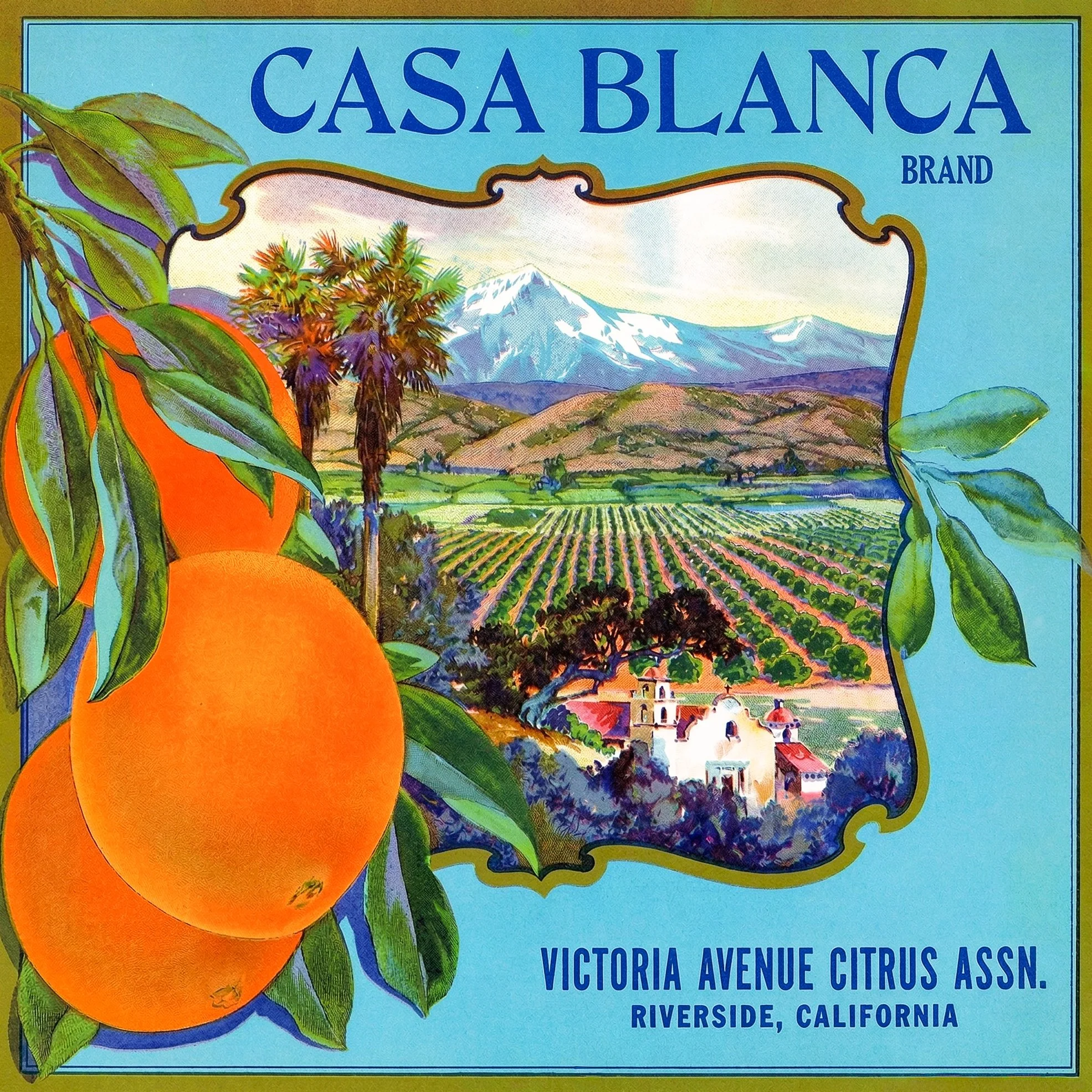 RIVERSIDE CASA BLANCA.jpg