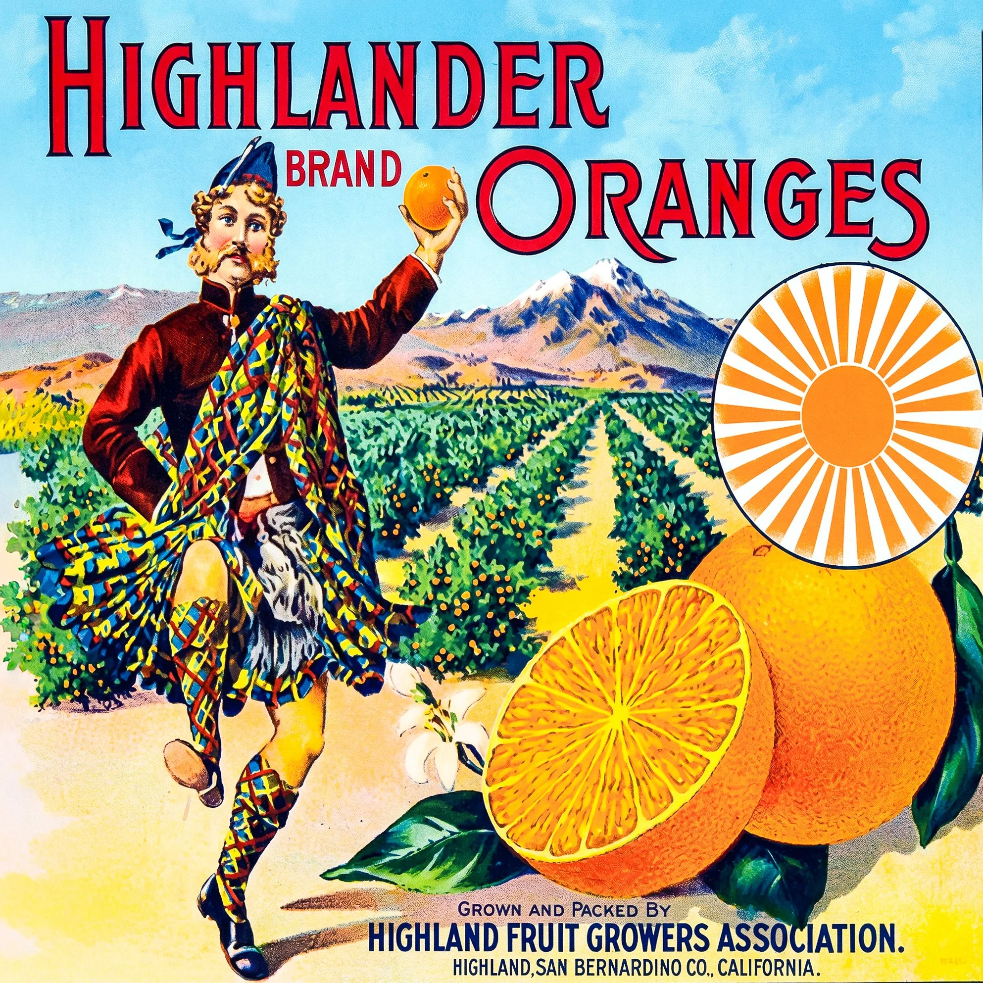HIGHLAND HIGHLANDER.jpg