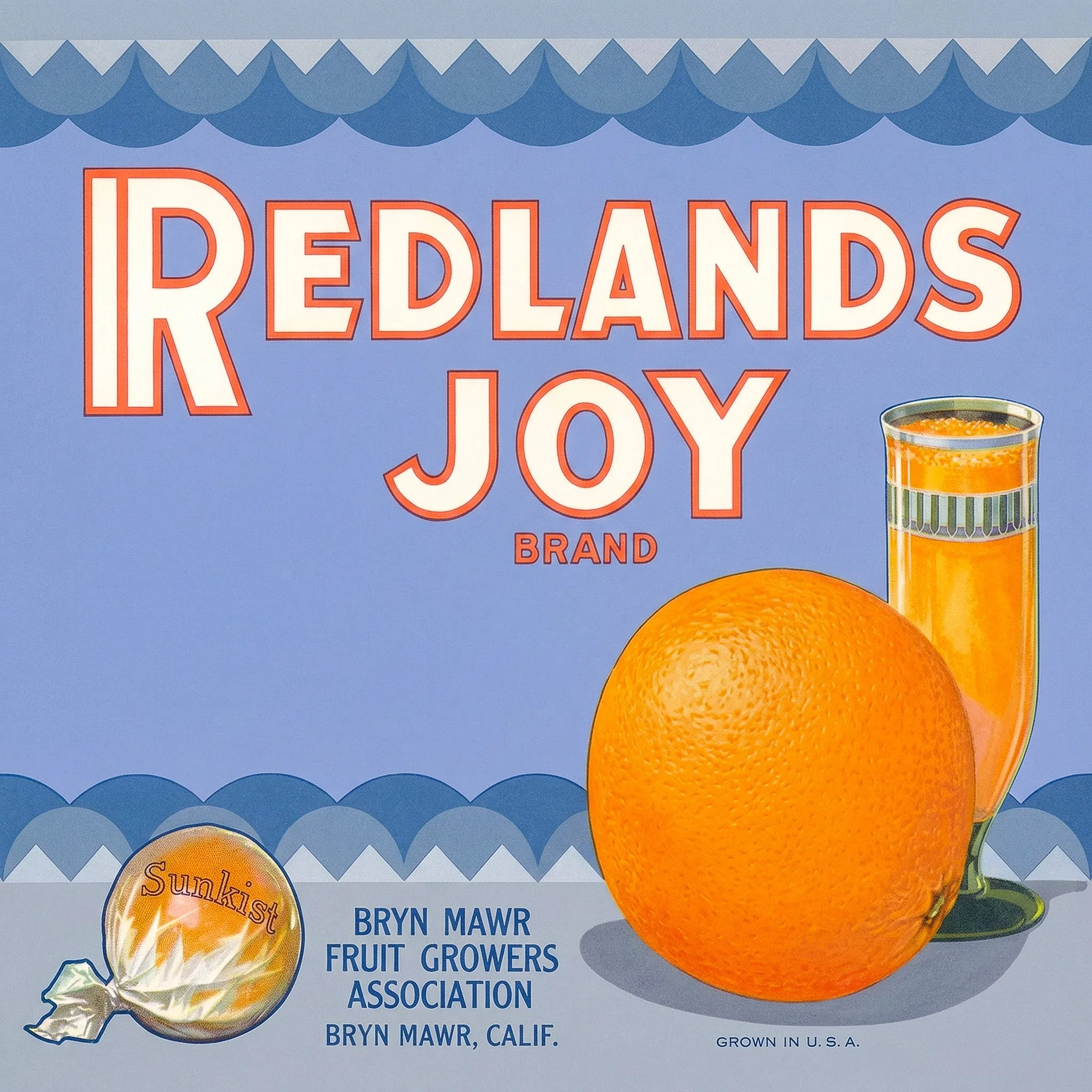 REDLANDS REDLANDS JOY.jpg