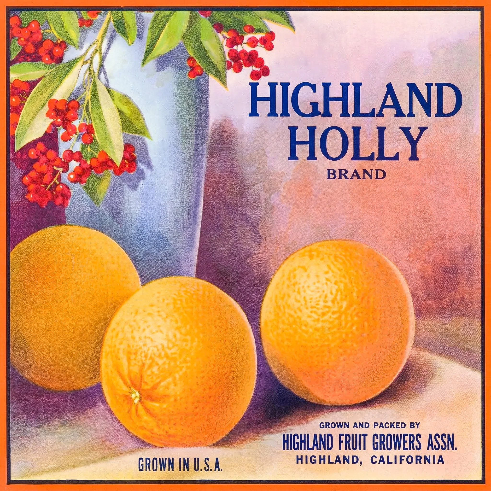 HIGHLAND HOLLY.jpg