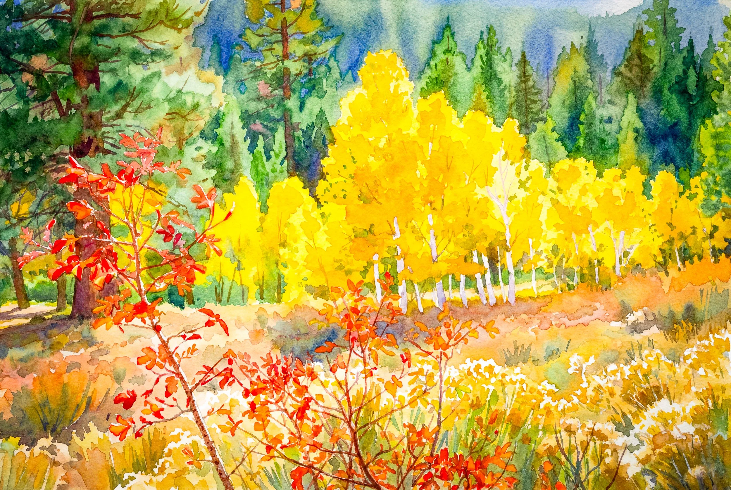 Shades of Autumn