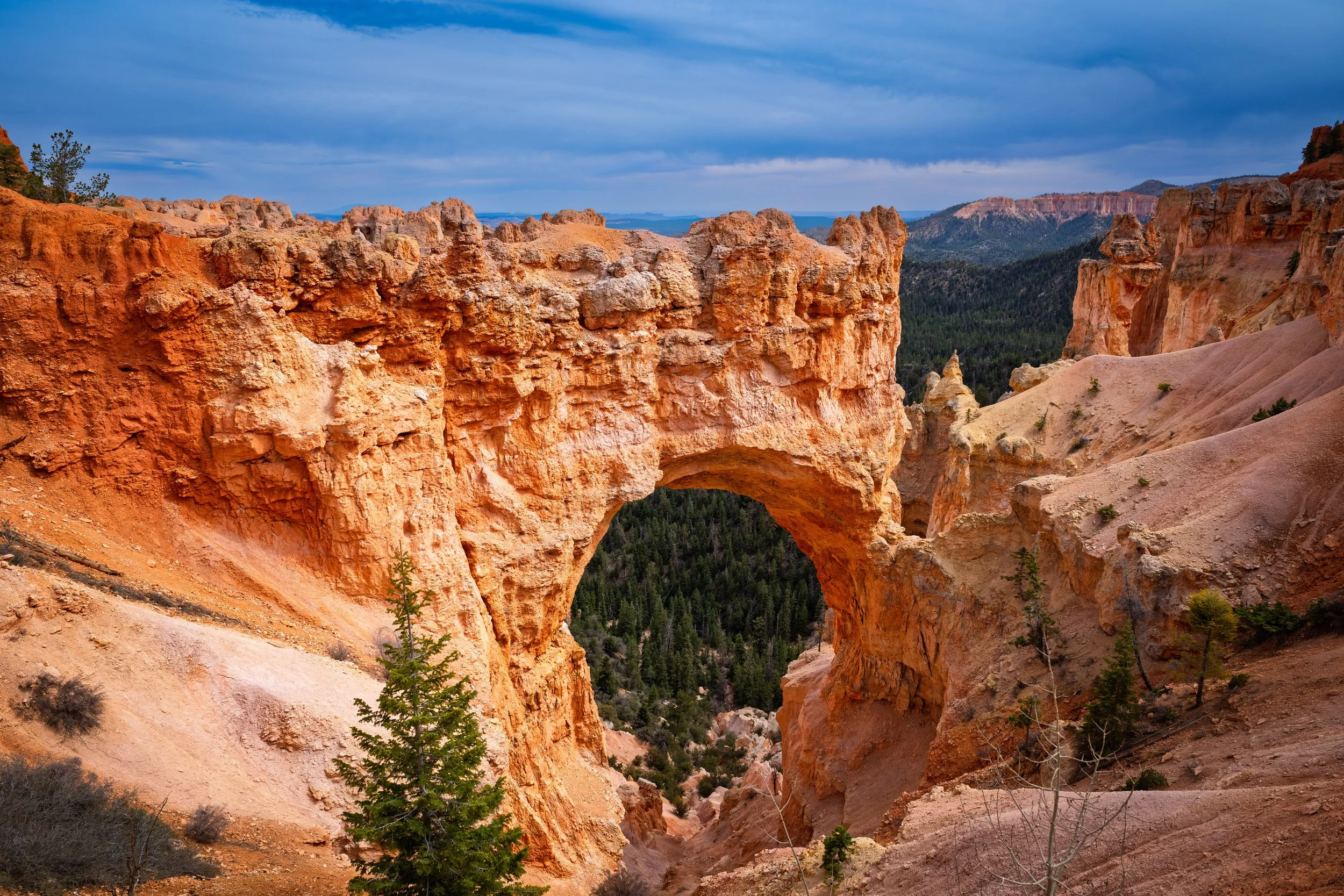 BRYCE1.jpg