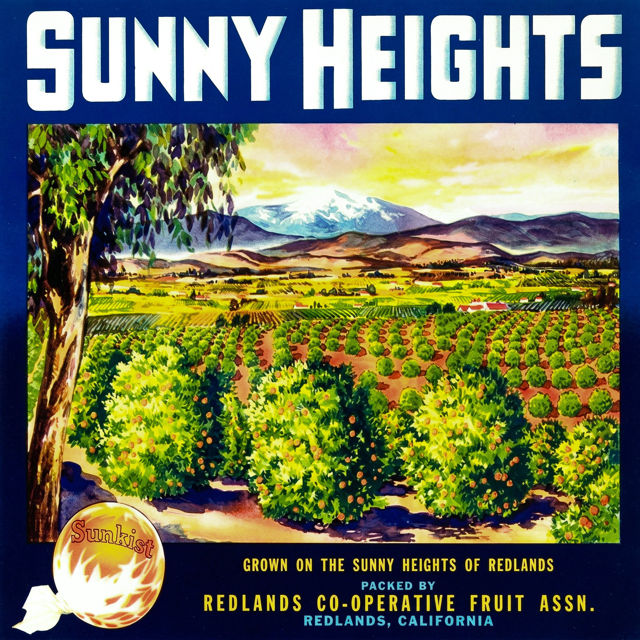 REDLANDS SUNNY HEIGHTS-2.jpg