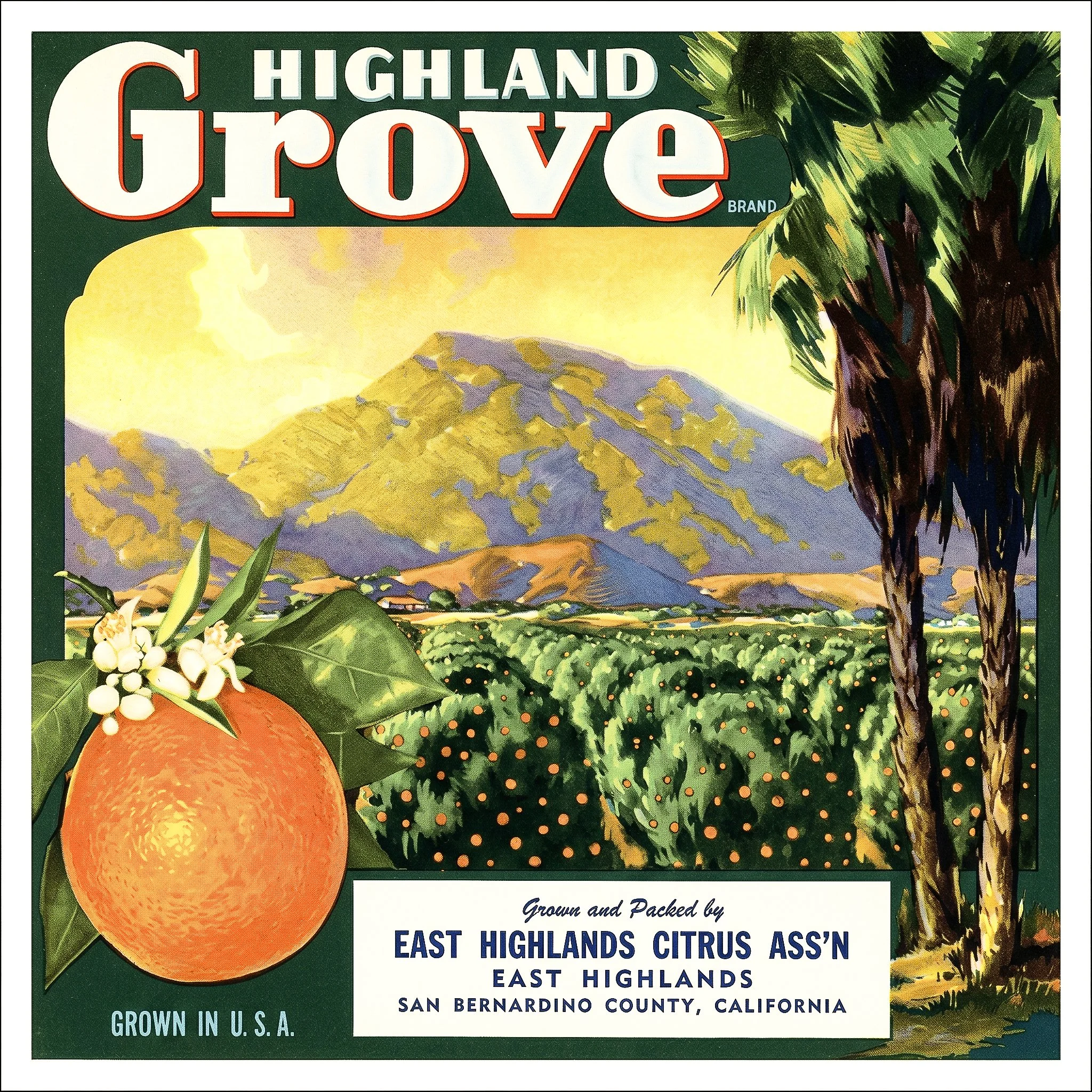 HIGHLAND GROVE GREEN.jpg