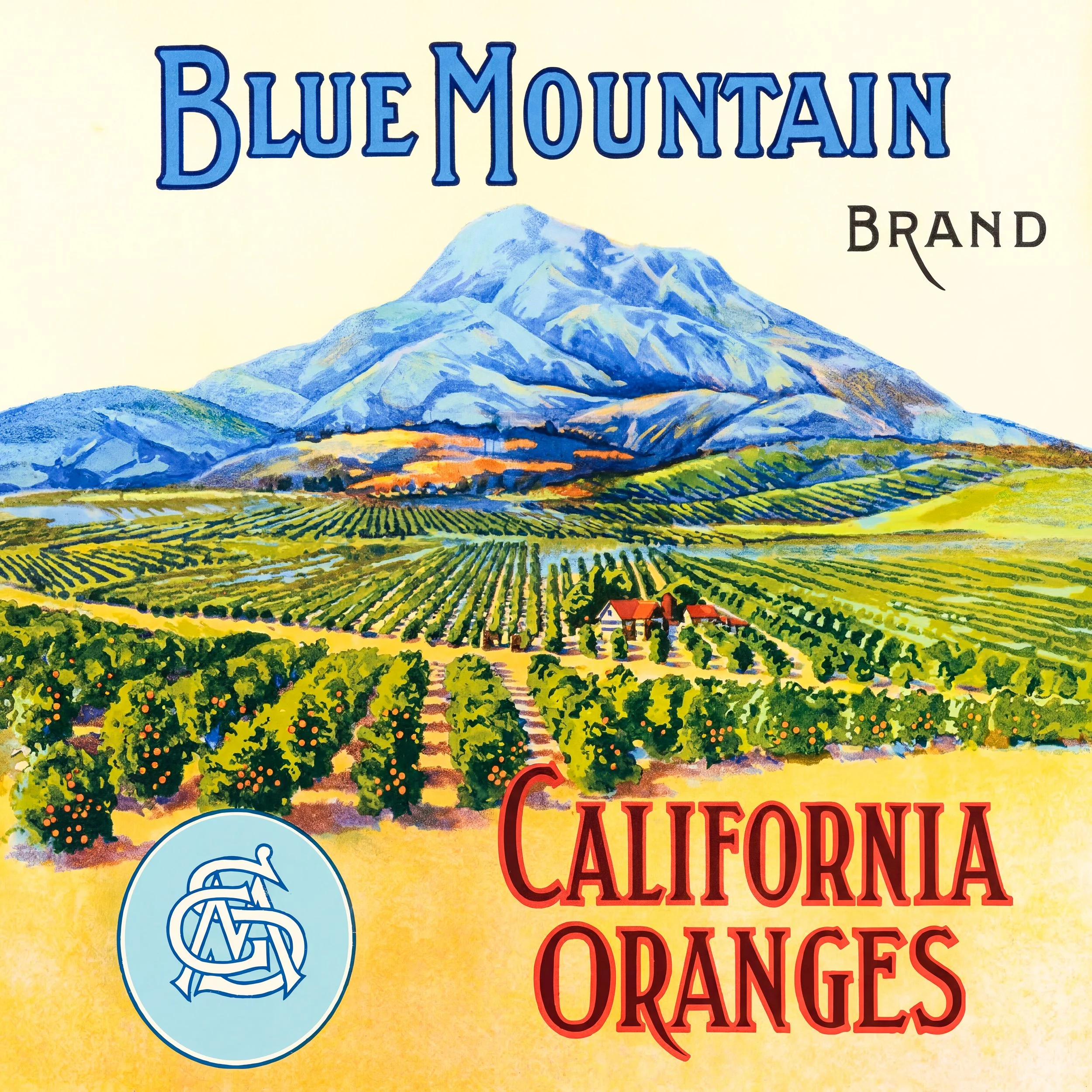 RIVERSIDE BLUE MOUNTAIN.jpg