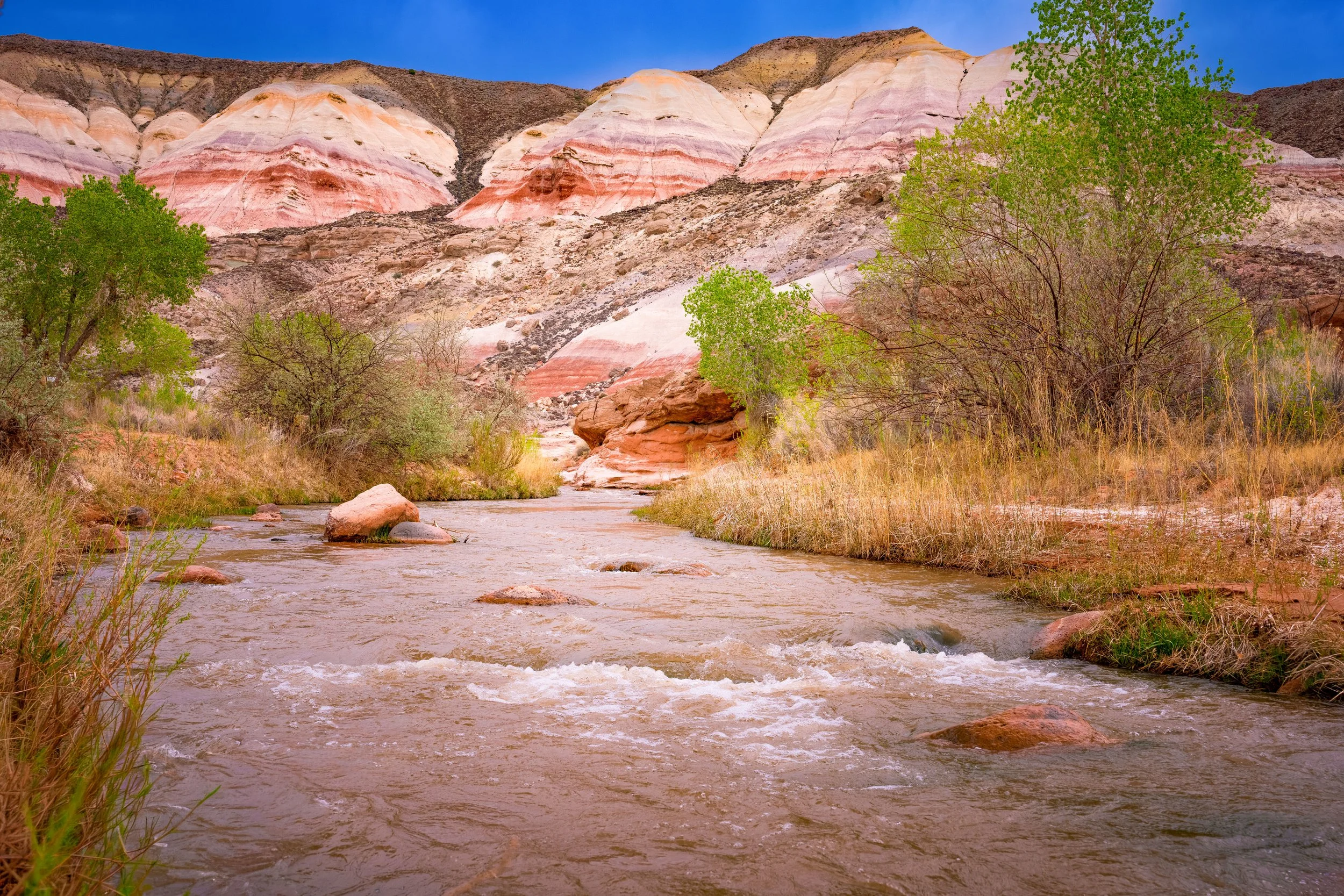 Capitol Reef NP Fremont River