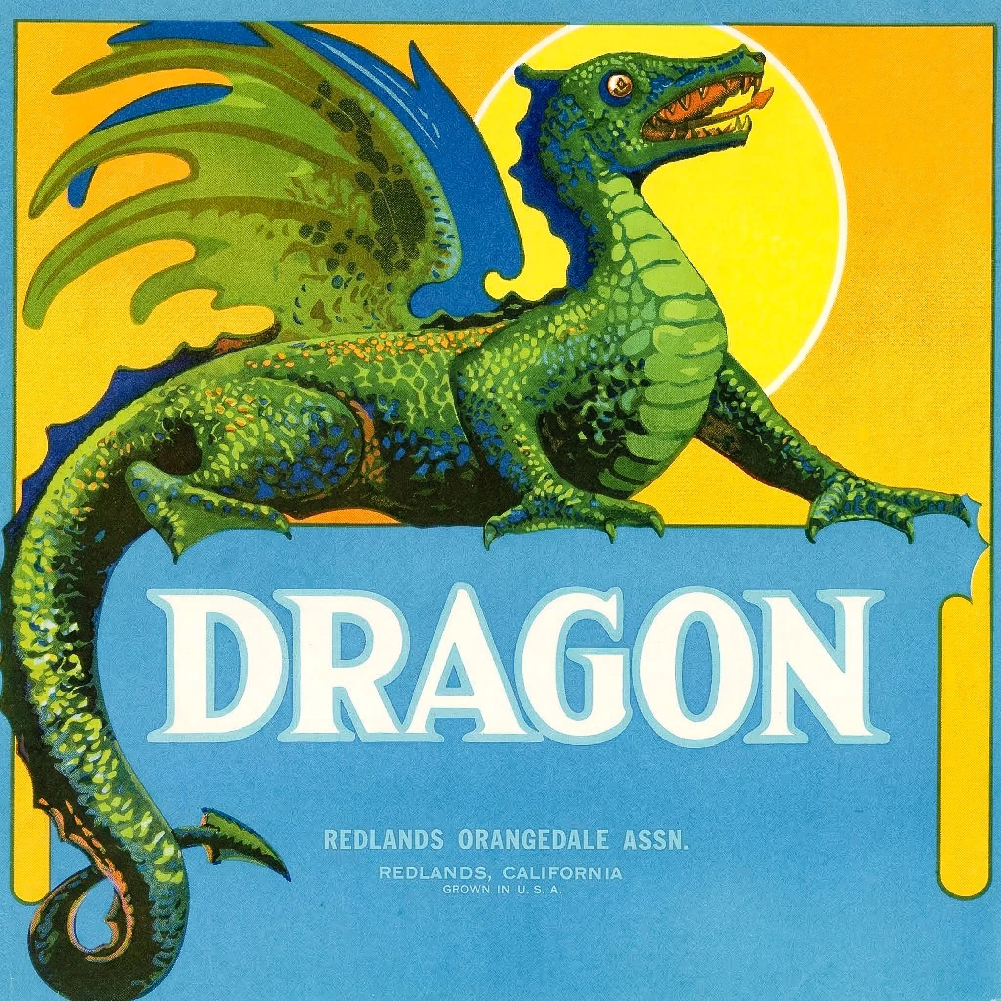 REDLANDS DRAGON.jpg
