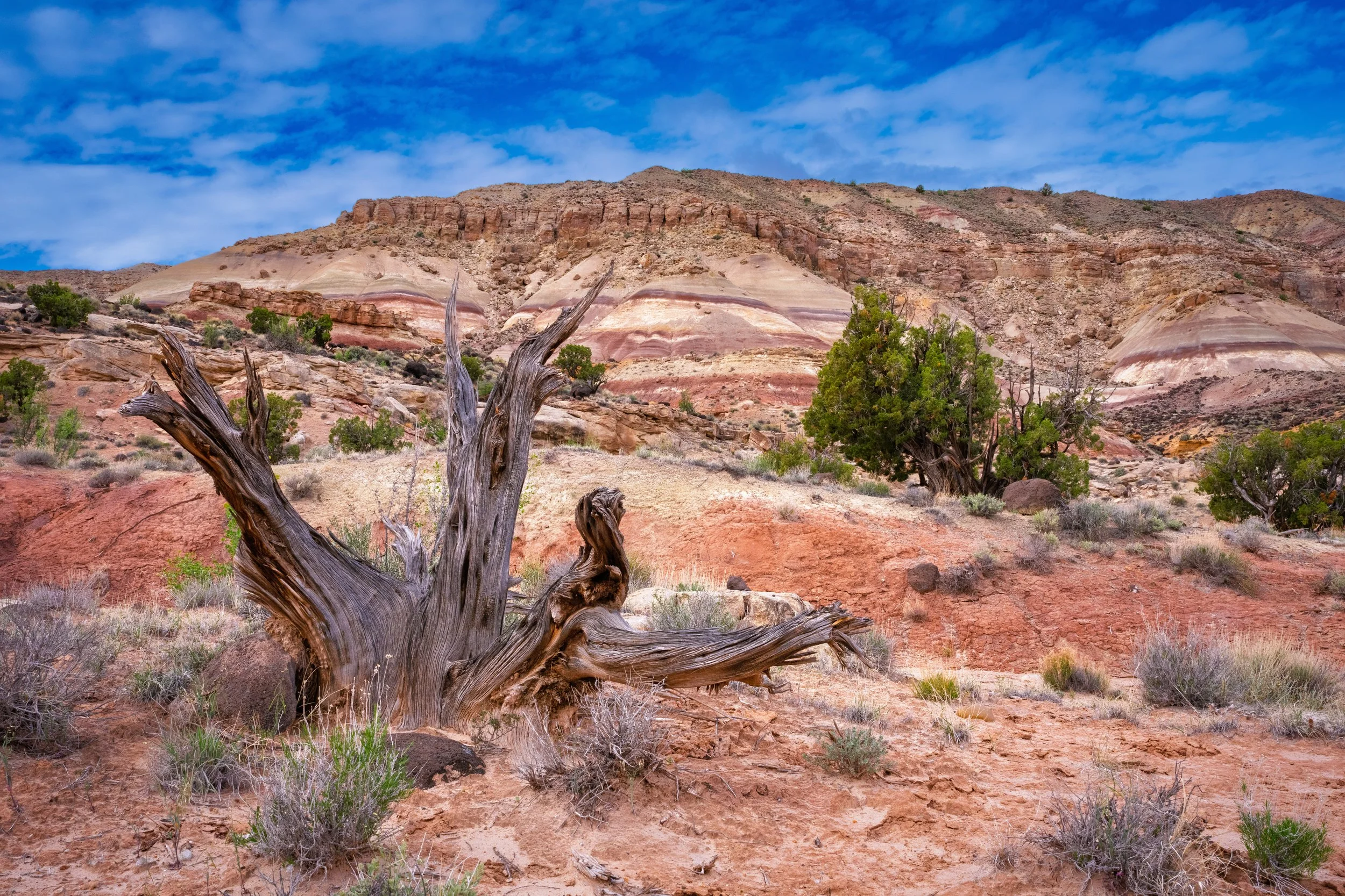 Bentonite Hills
