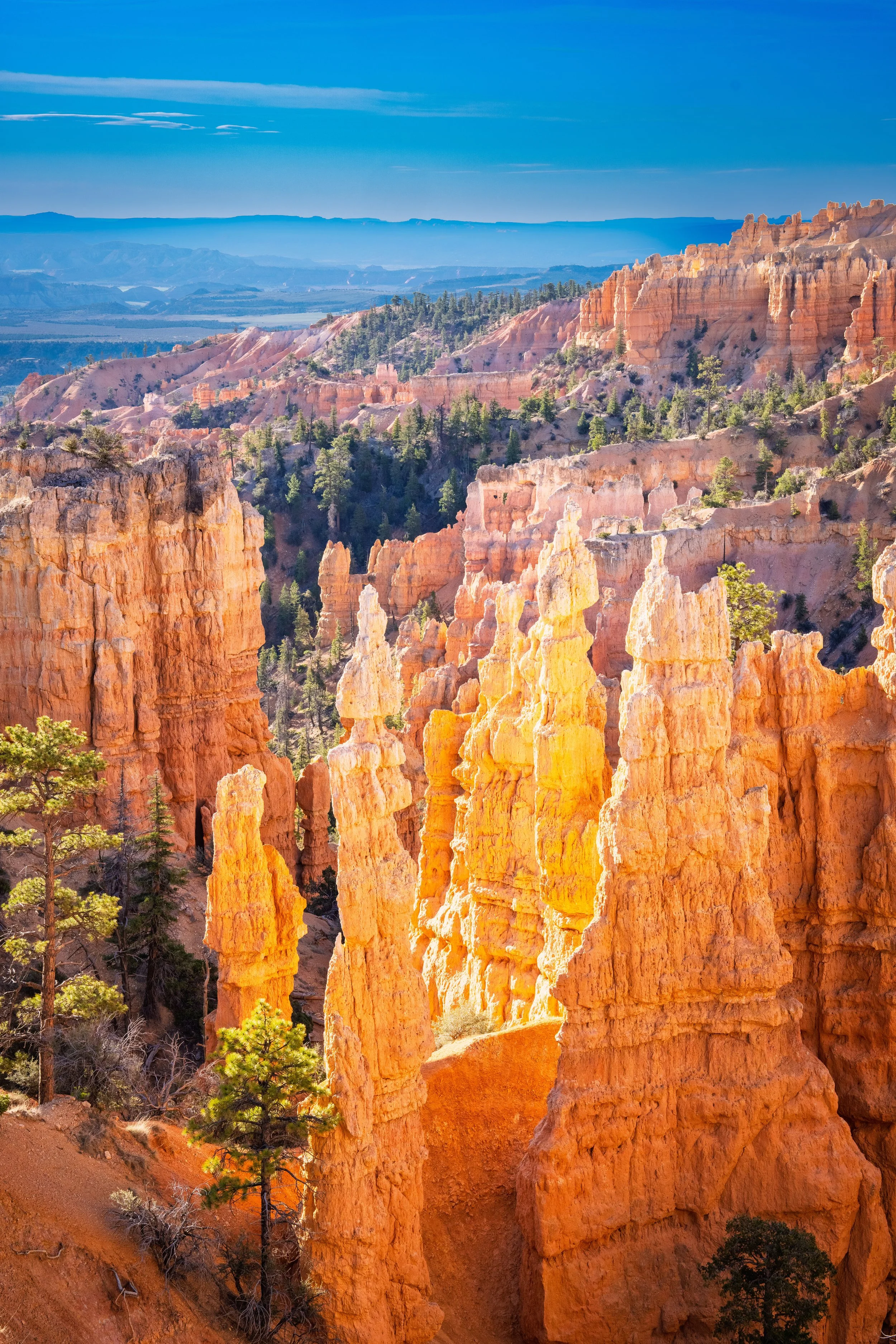 BRYCE9.jpg