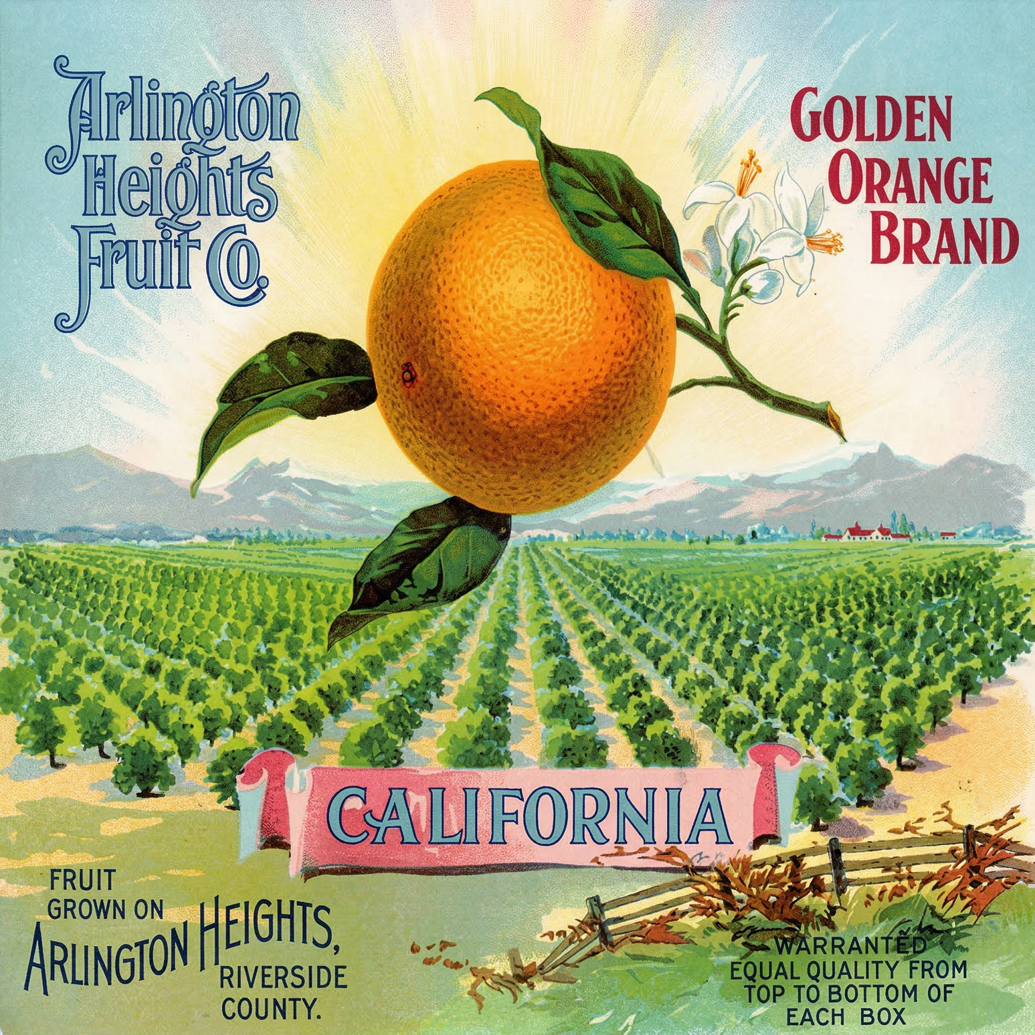 RIVERSIDE GOLDEN ORANGE BRAND.png