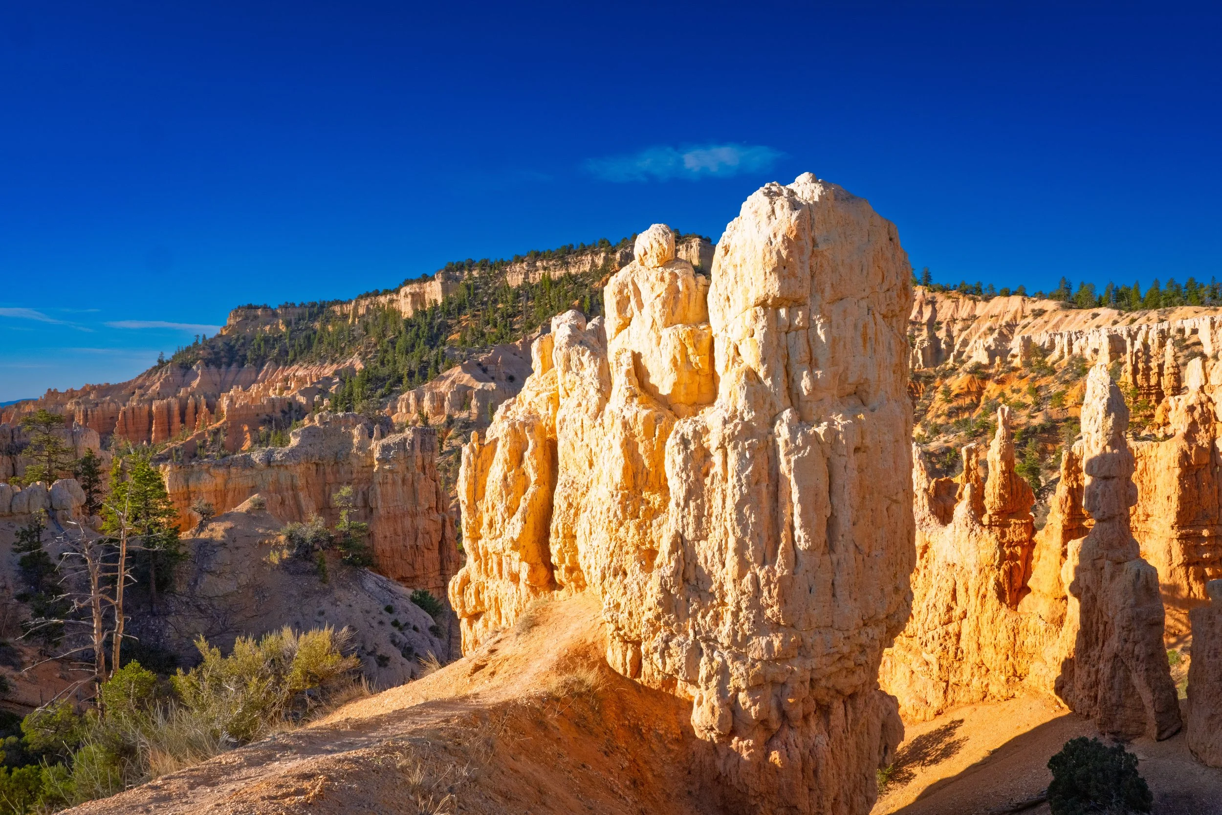 BRYCE8.1.jpg
