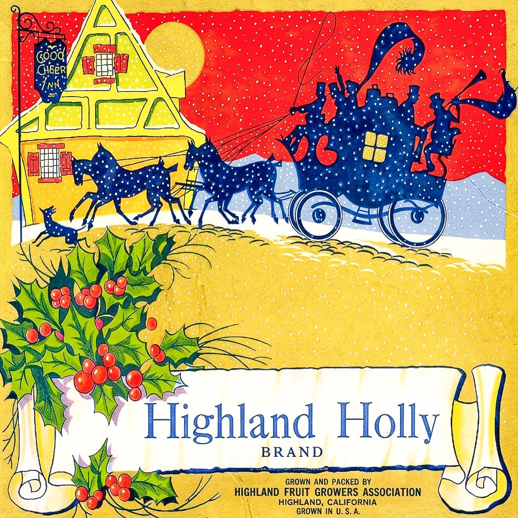HIGHLAND HIGHLAND HOLLY.jpg