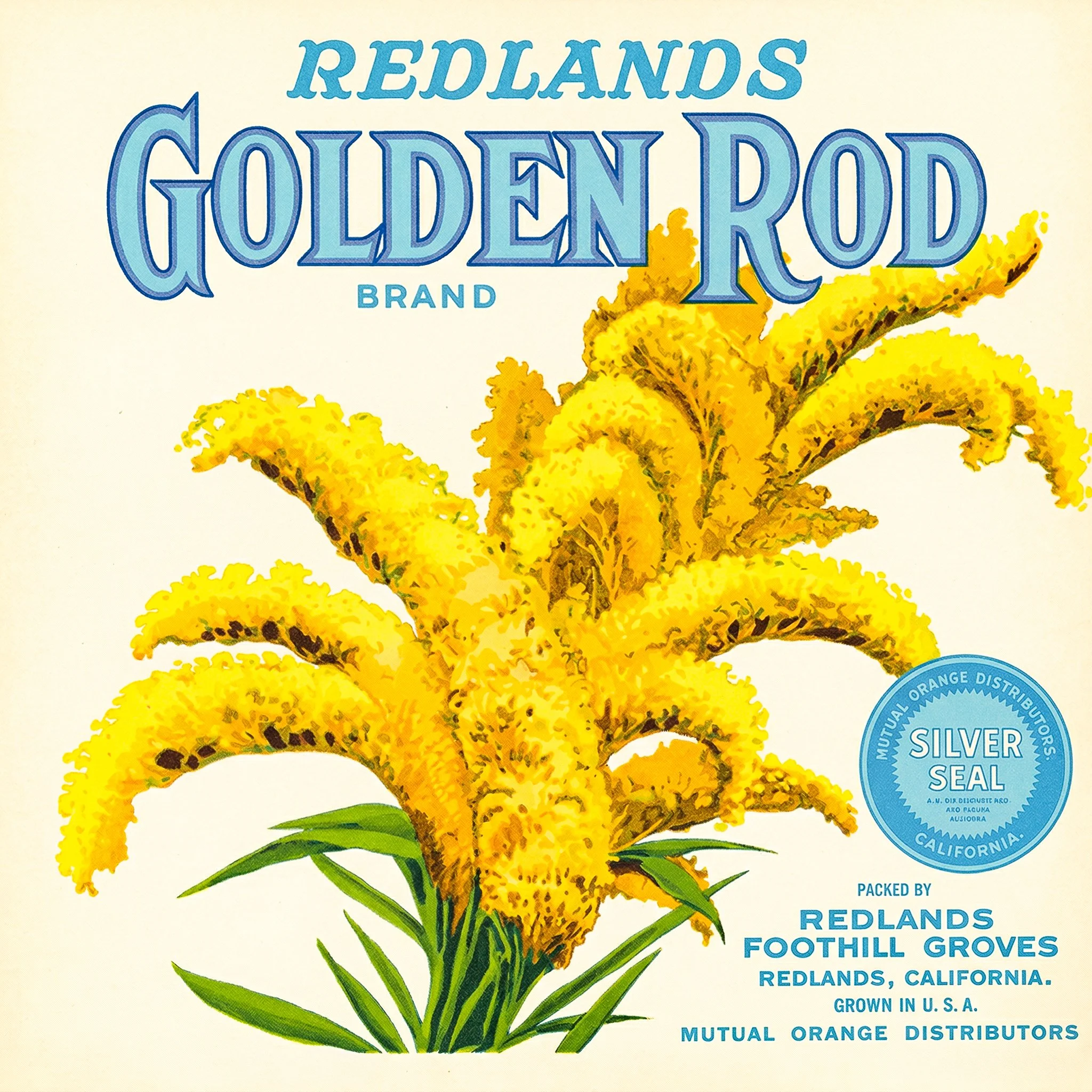 REDLANDS GOLDEN ROD LIGHT-2.jpg