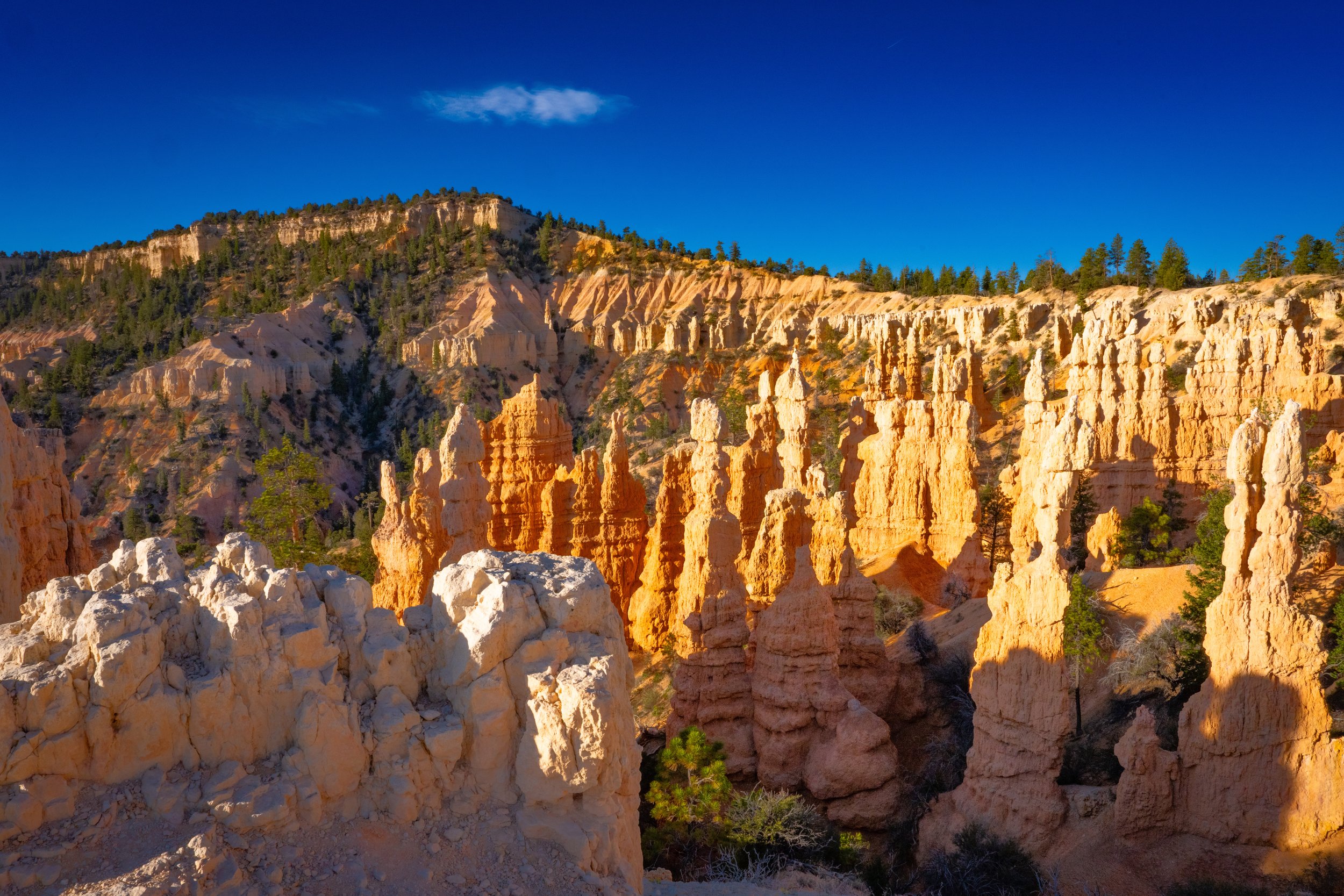 BRYCE8.jpg
