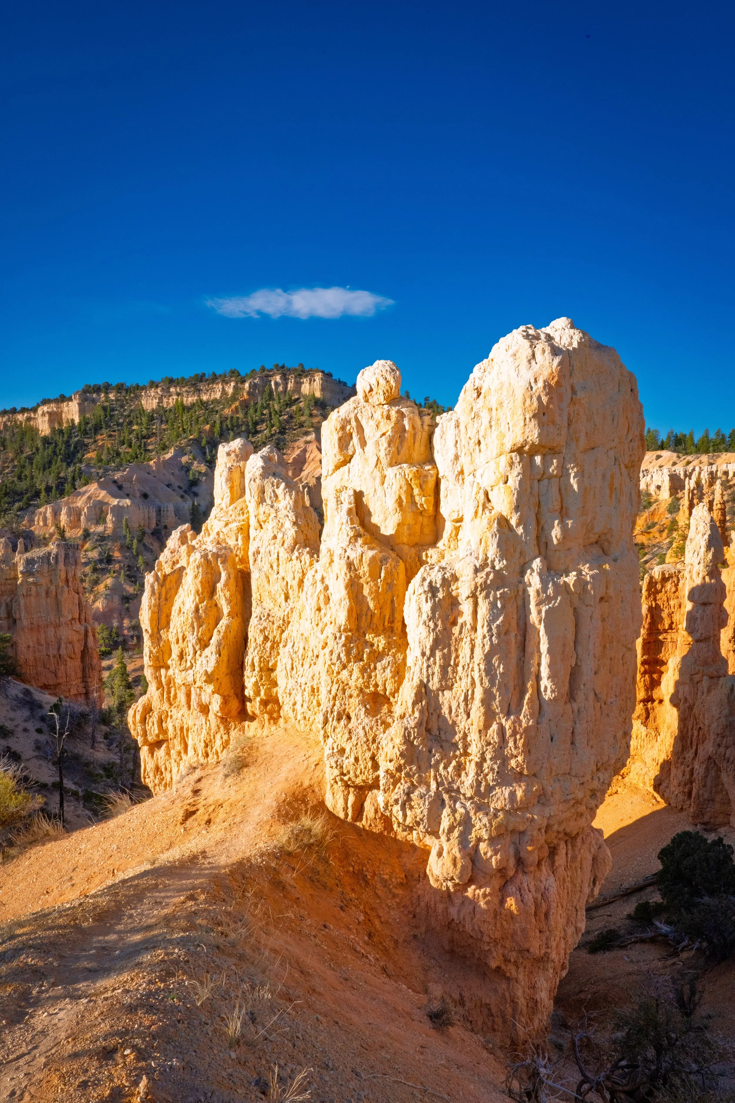 BRYCE10.jpg