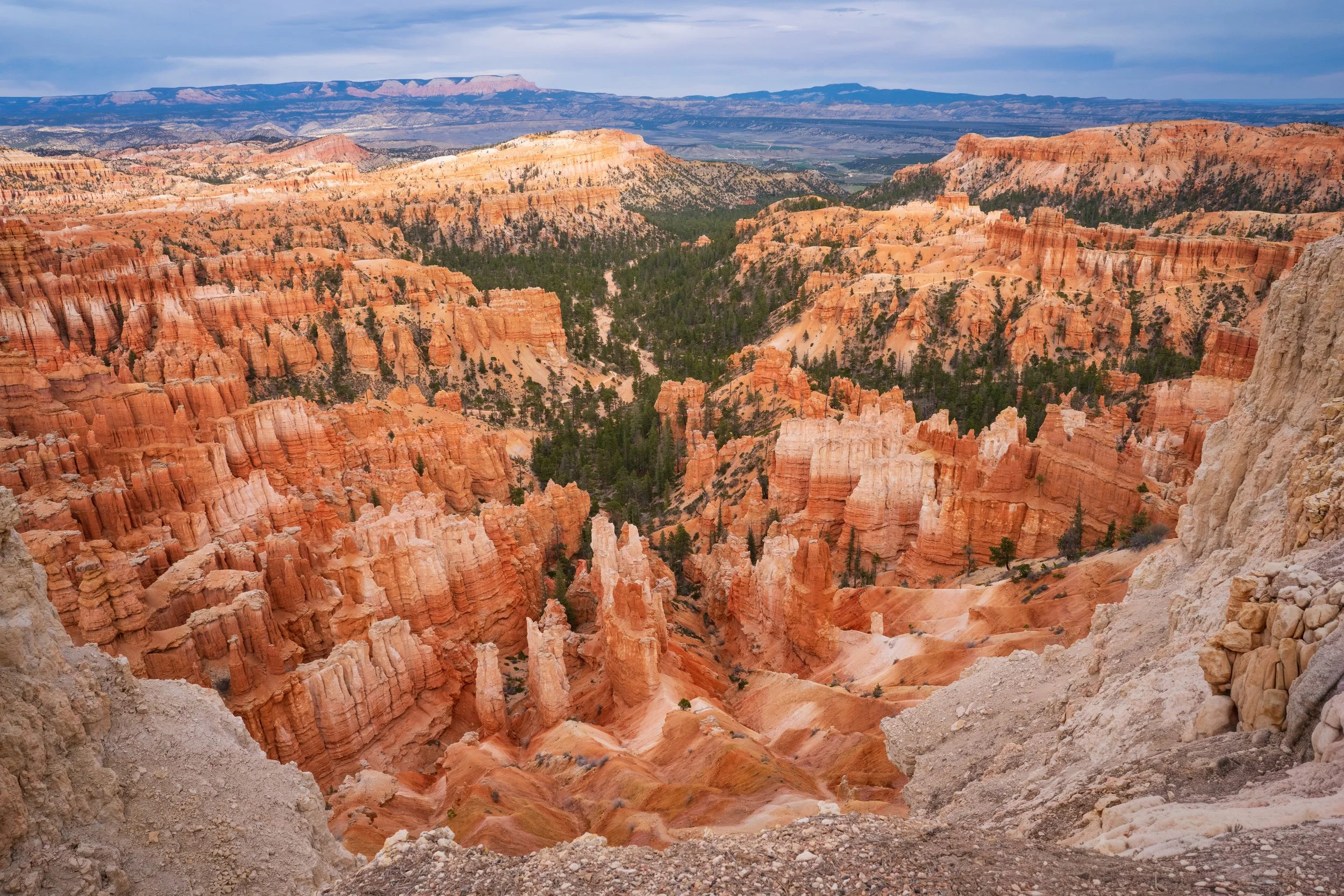 BRYCE3.jpg