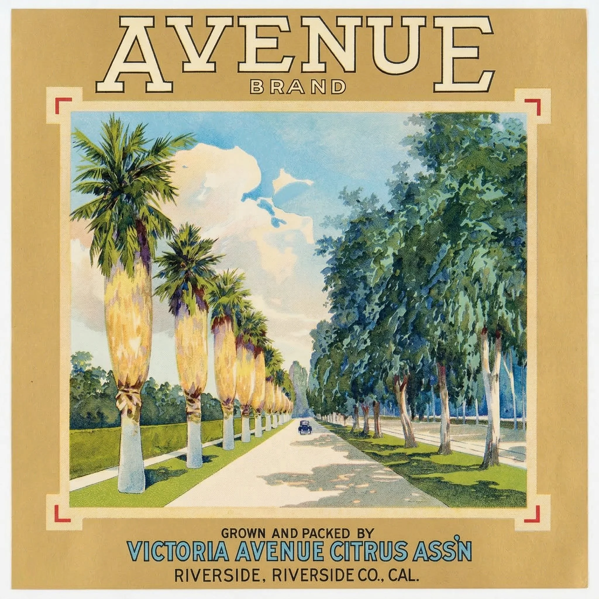 RIVERSIDE AVENUE.jpg