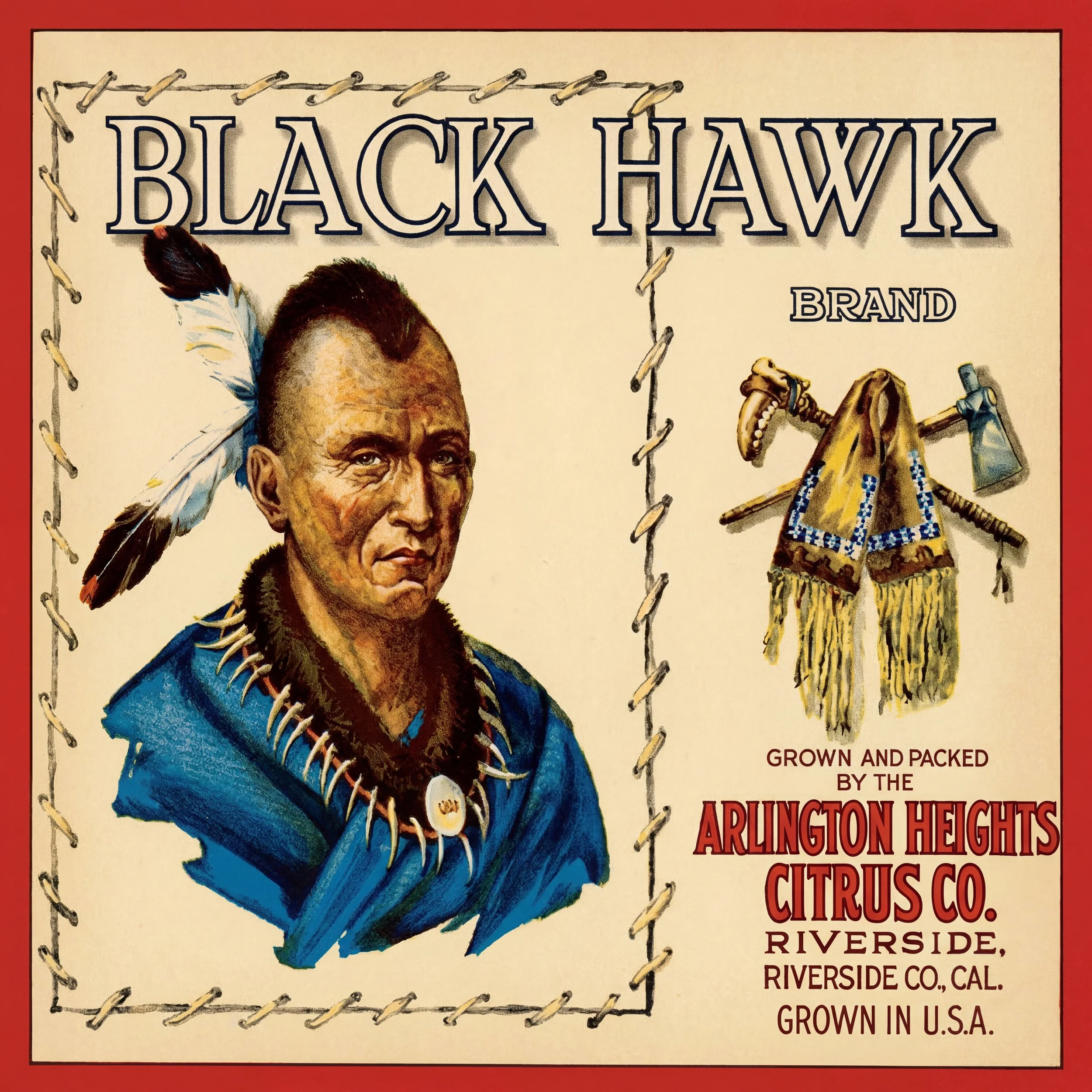 RIVERSIDE BLACK HAWK.jpg