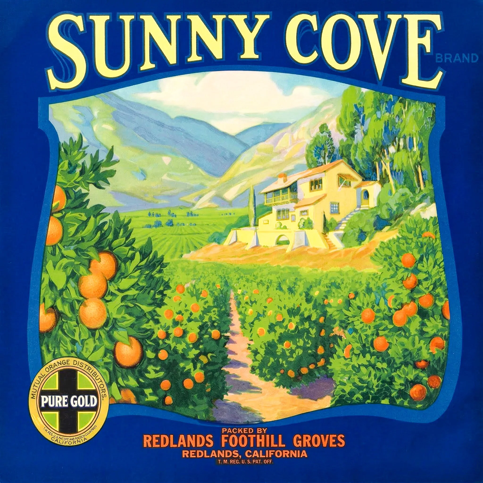 REDLANDS SUNNY COVE DARK.jpg