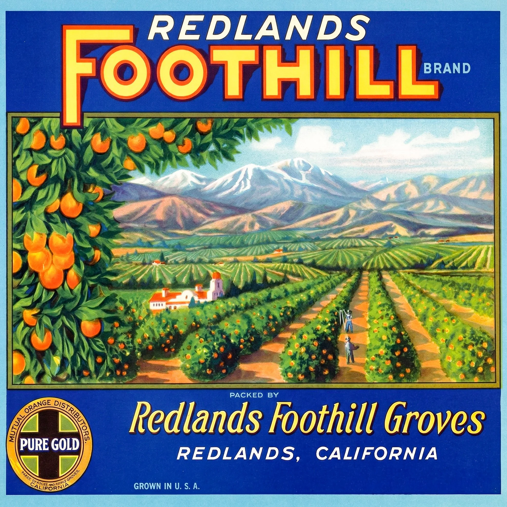 REDLANDS FOOTHILL.jpg
