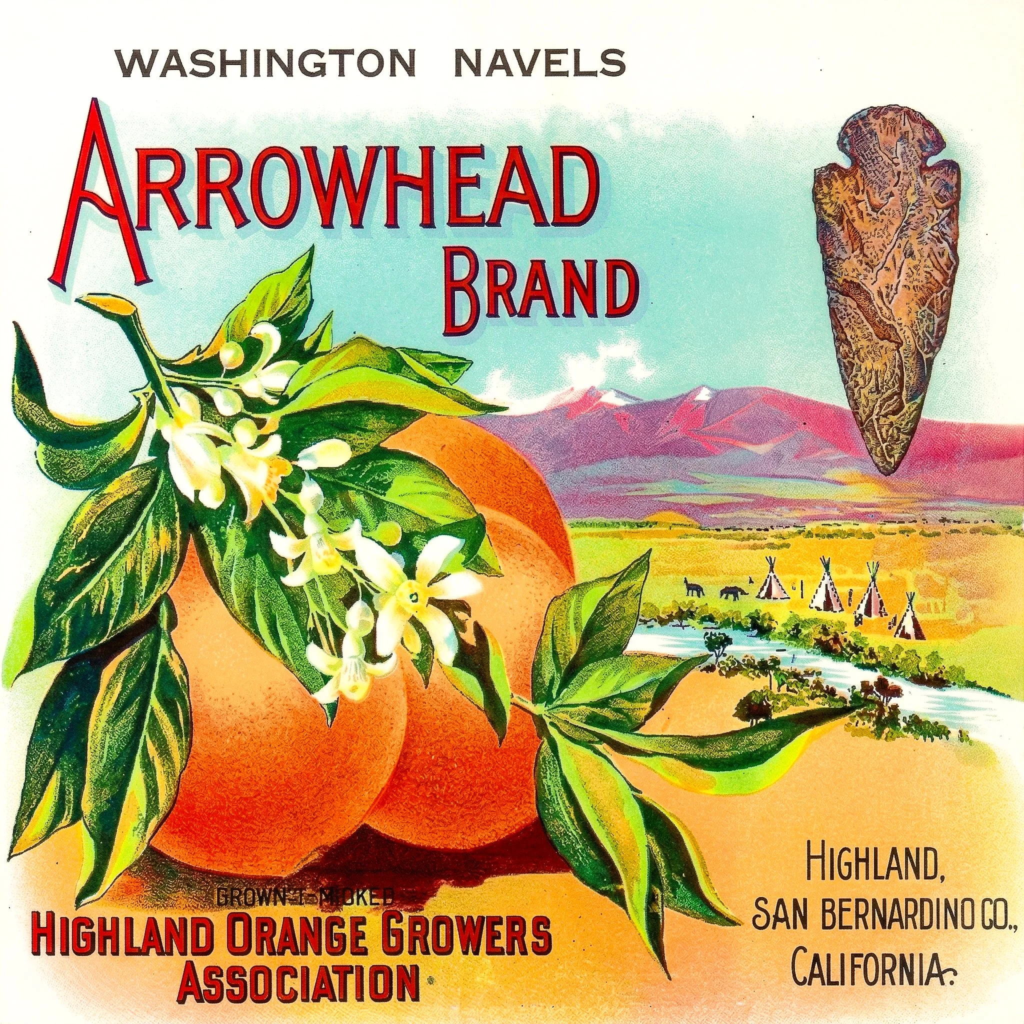 HIGHLAND ARROWHEAD2.jpg