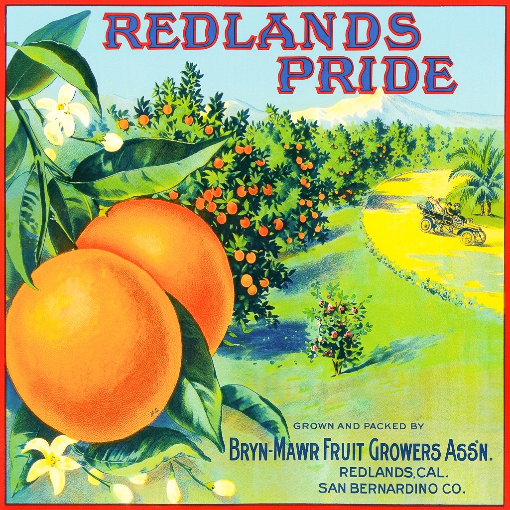 REDLANDS REDLANDS PRIDE.jpg