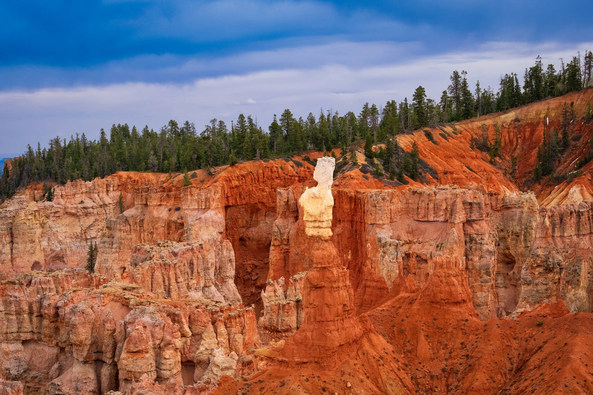 BRYCE7.jpg