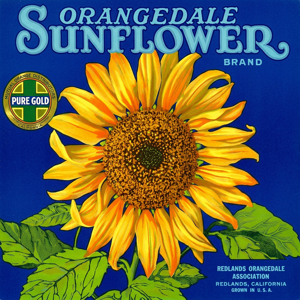 REDLANDS ORANGEDALE.png