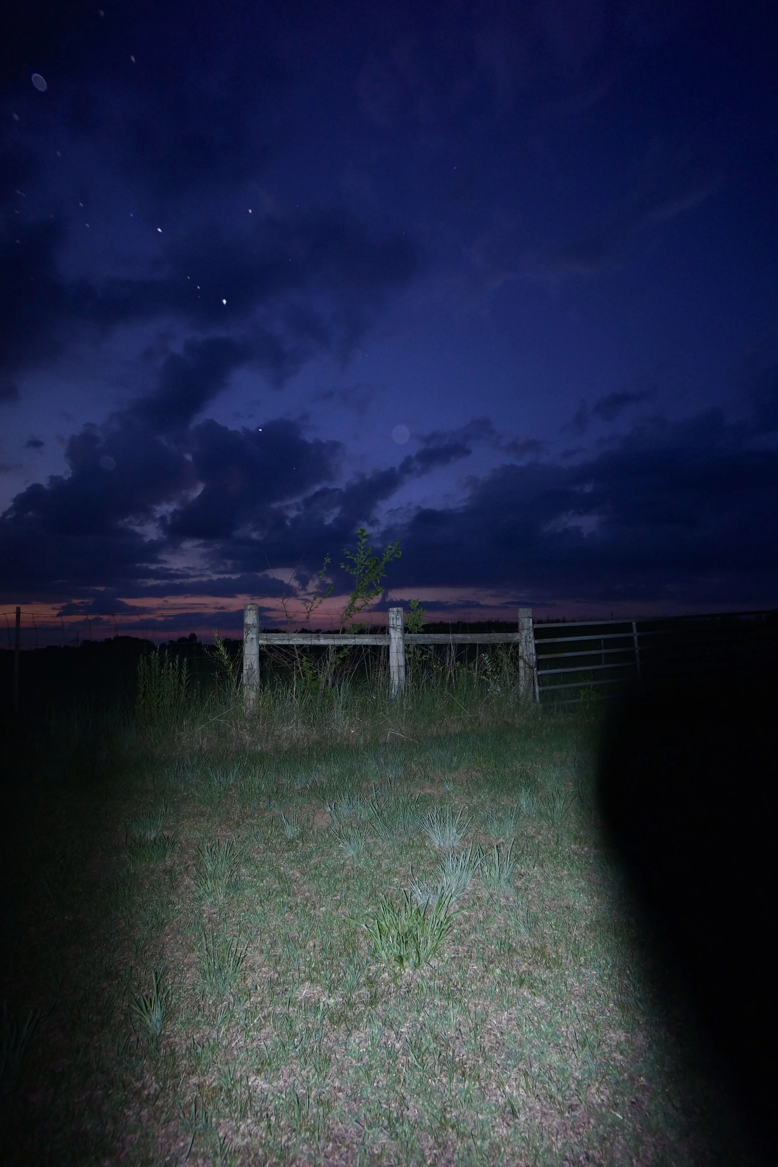 DSC07917.JPEG