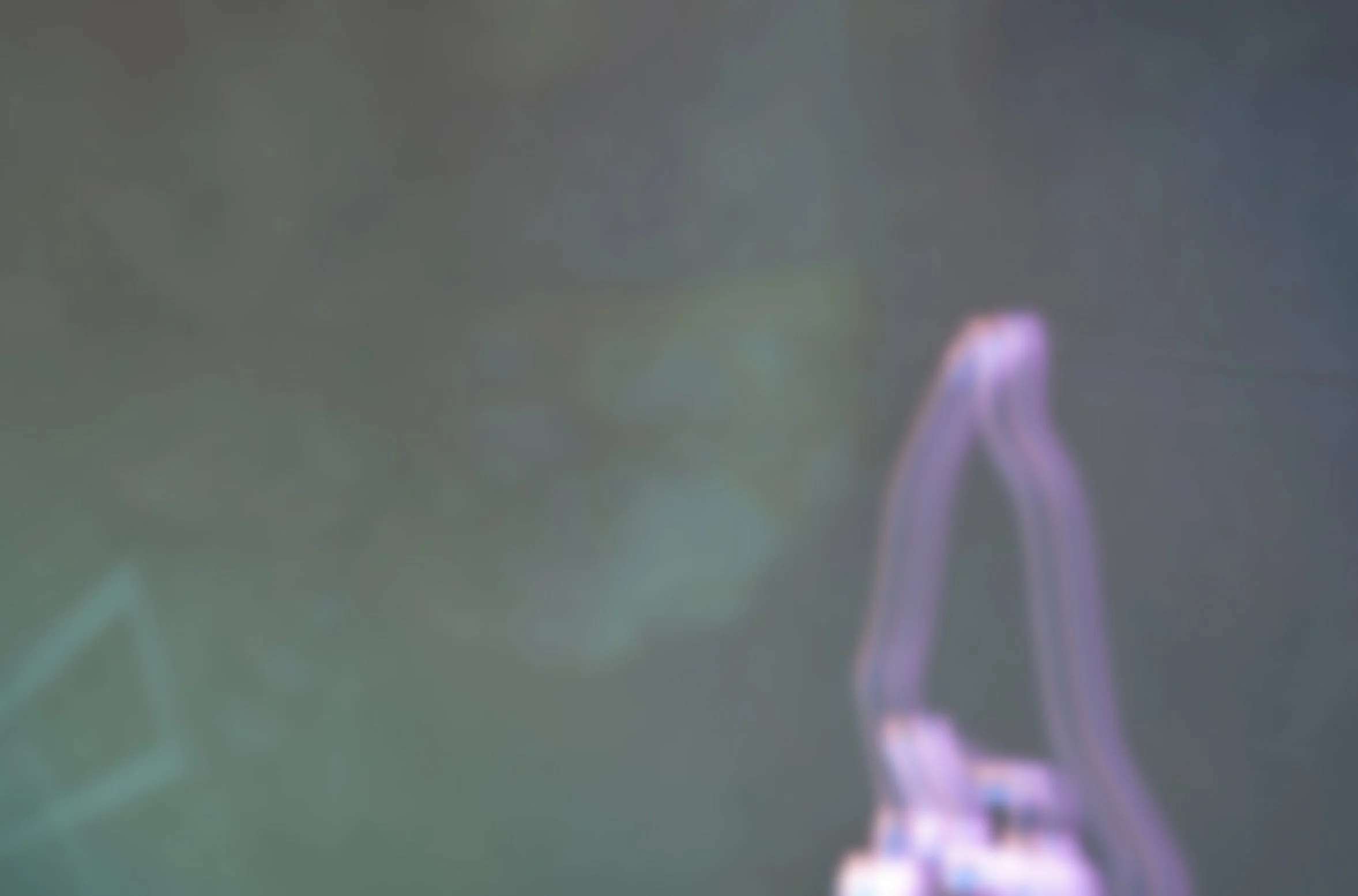 Experimental Videos and Classwork