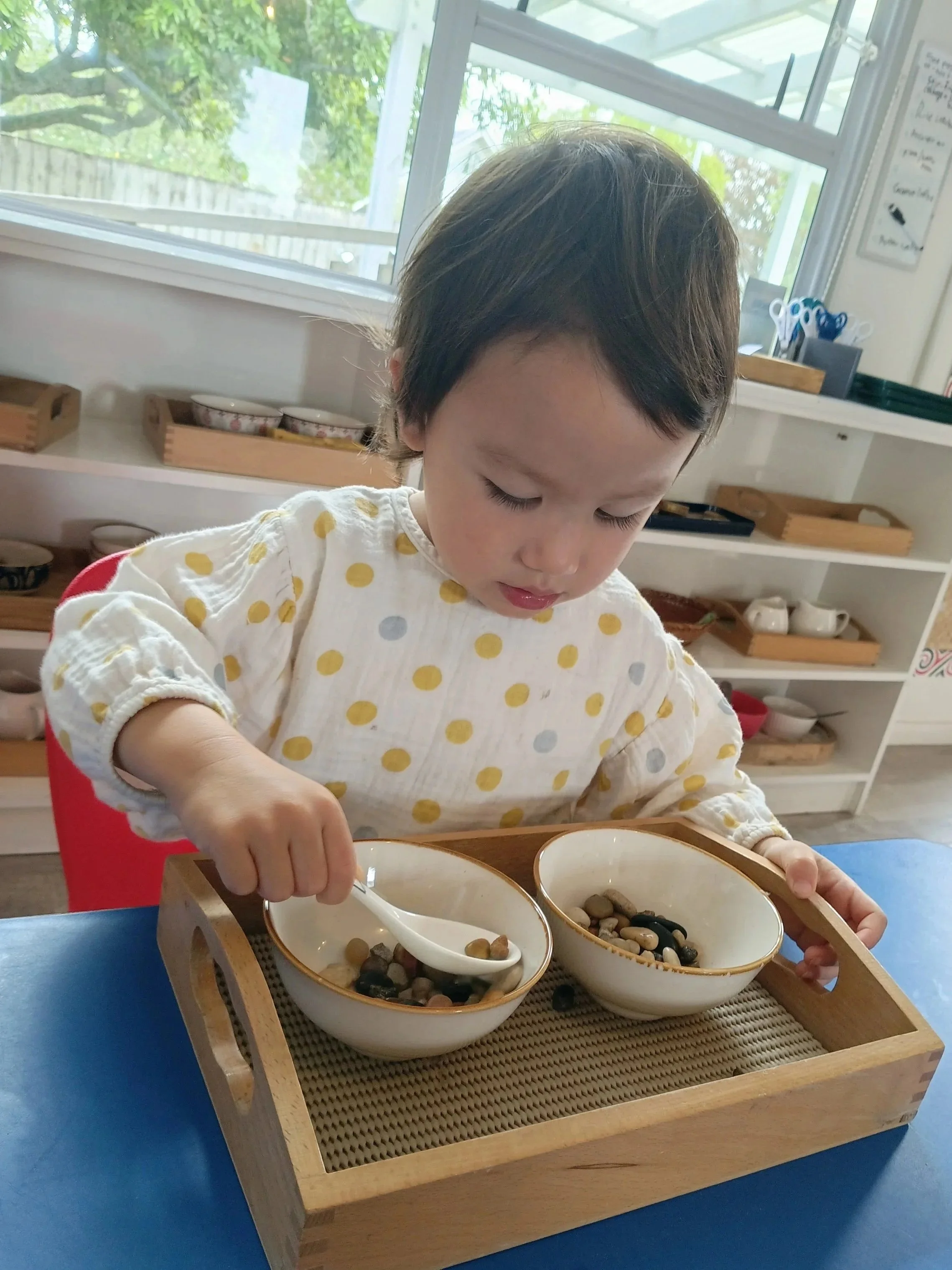A young child with short dark hair wearing a white shirt with yellow and gray polka dots, sitting at a table in a classroom or playroom, playing with small stones or pebbles in two white bowls placed on a wooden tray.