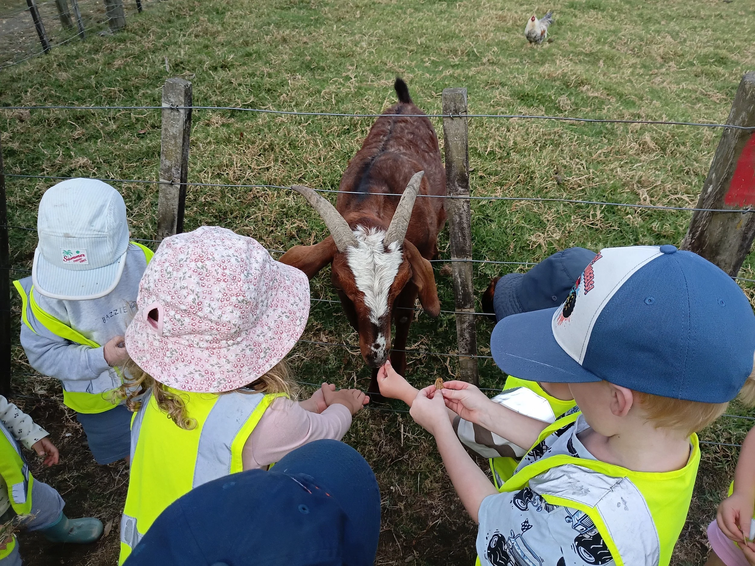 Montessori toddler programme in Auckland.jpg