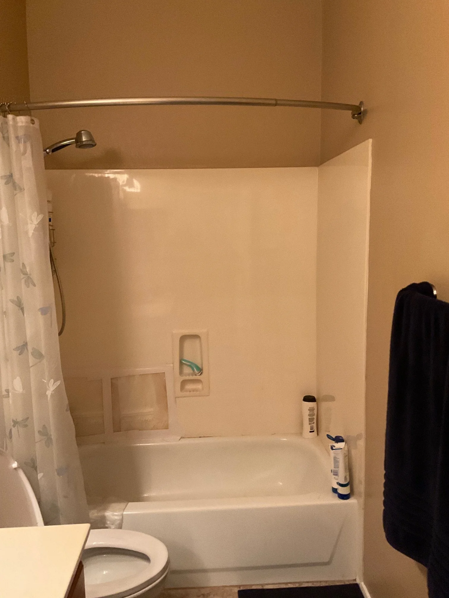Hall Bath - Before