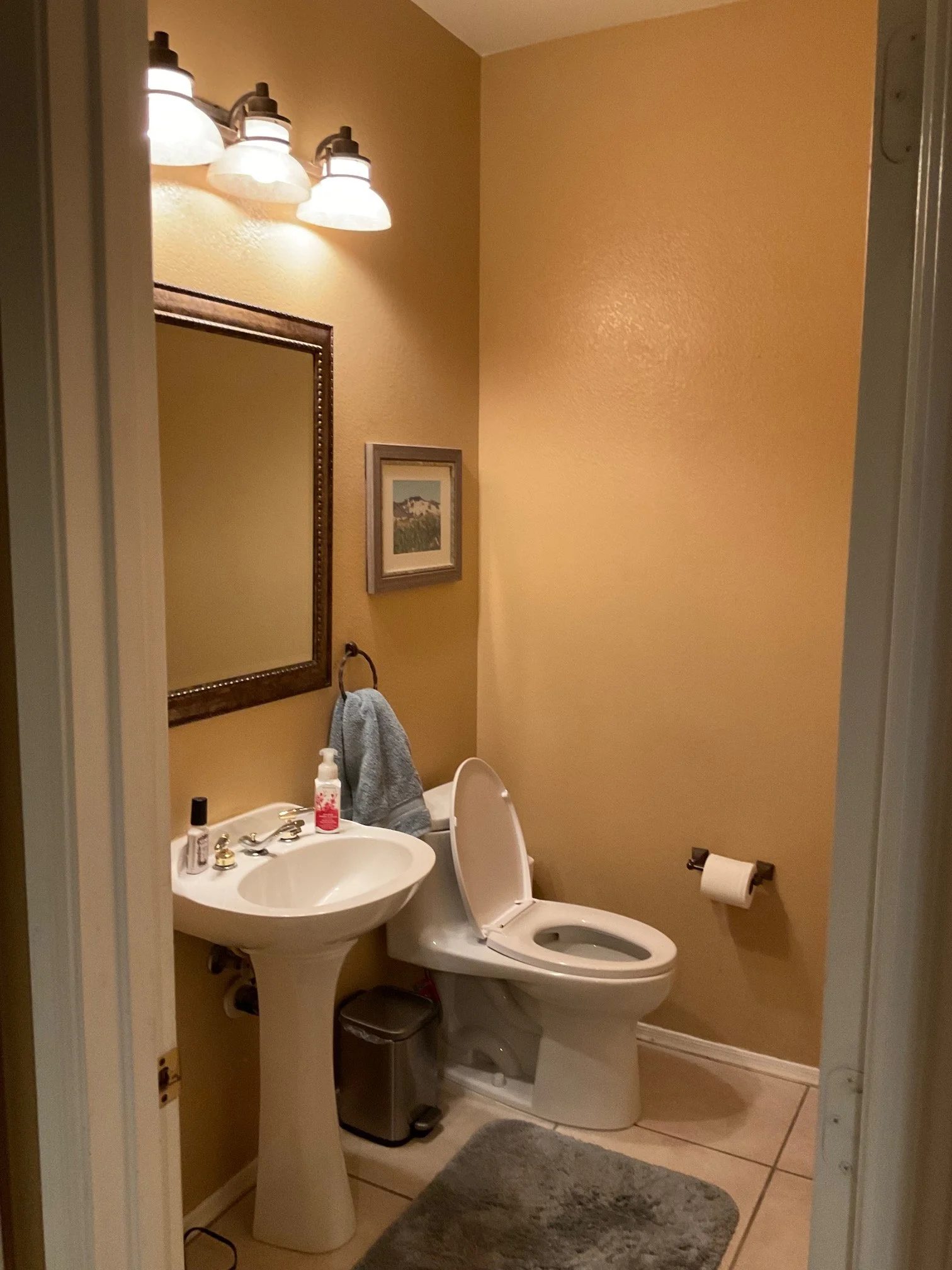 Powder Room - Before
